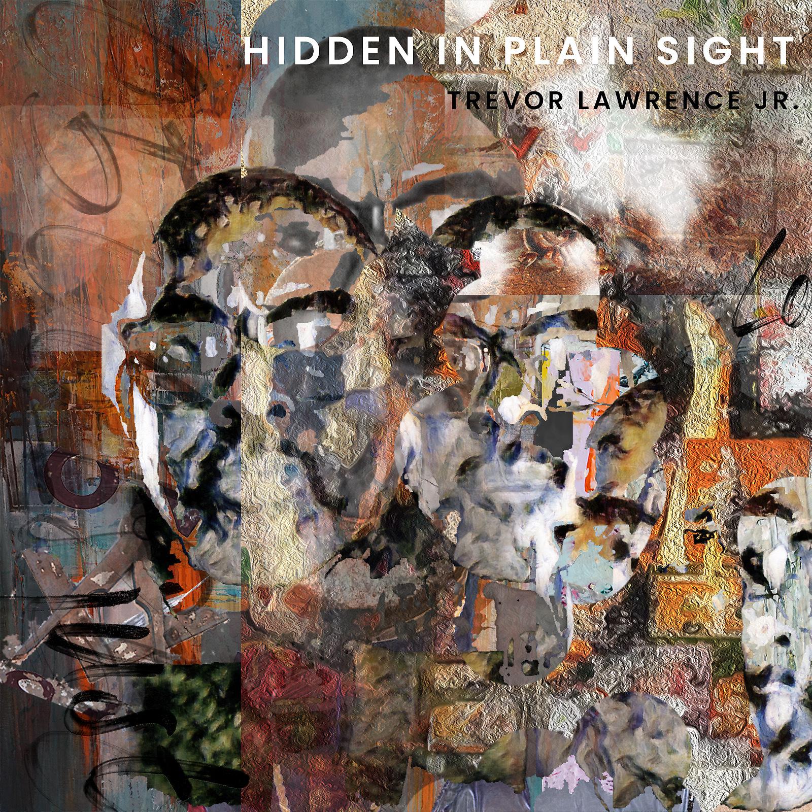 Постер альбома Hidden In Plain Sight