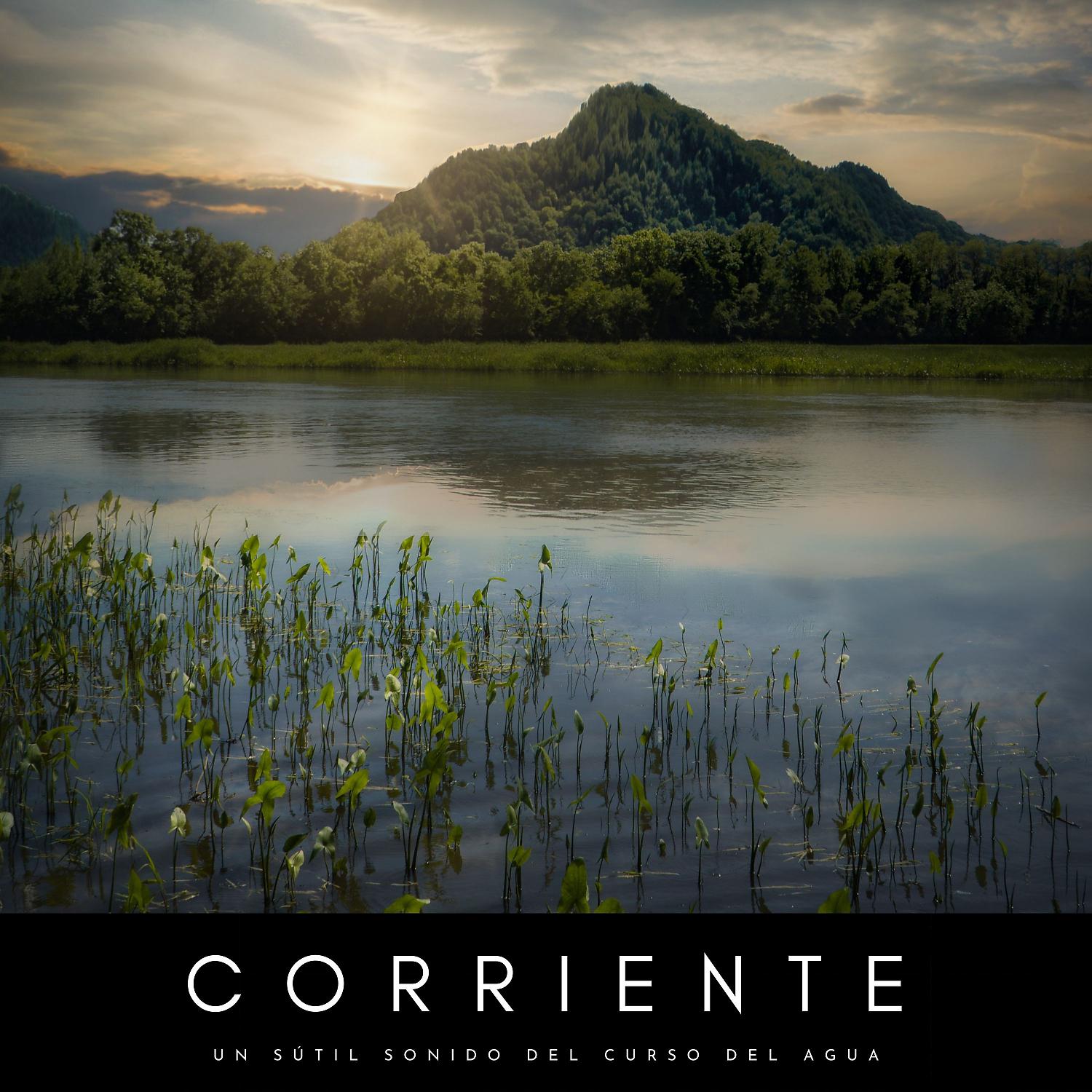 Постер альбома Corriente: Un Sútil Sonido Del Curso Del Agua