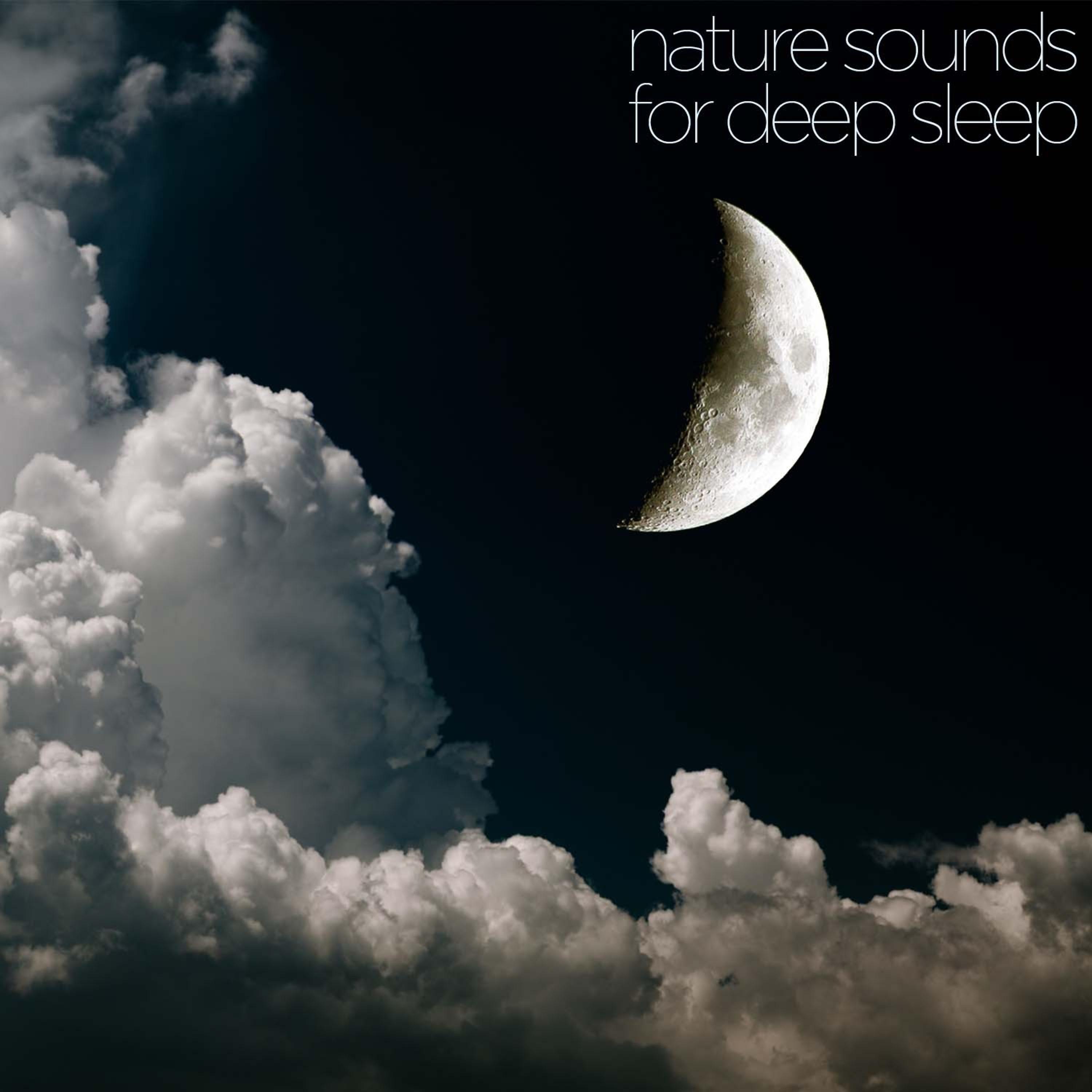 Постер альбома Nature Sounds for Deep Sleep