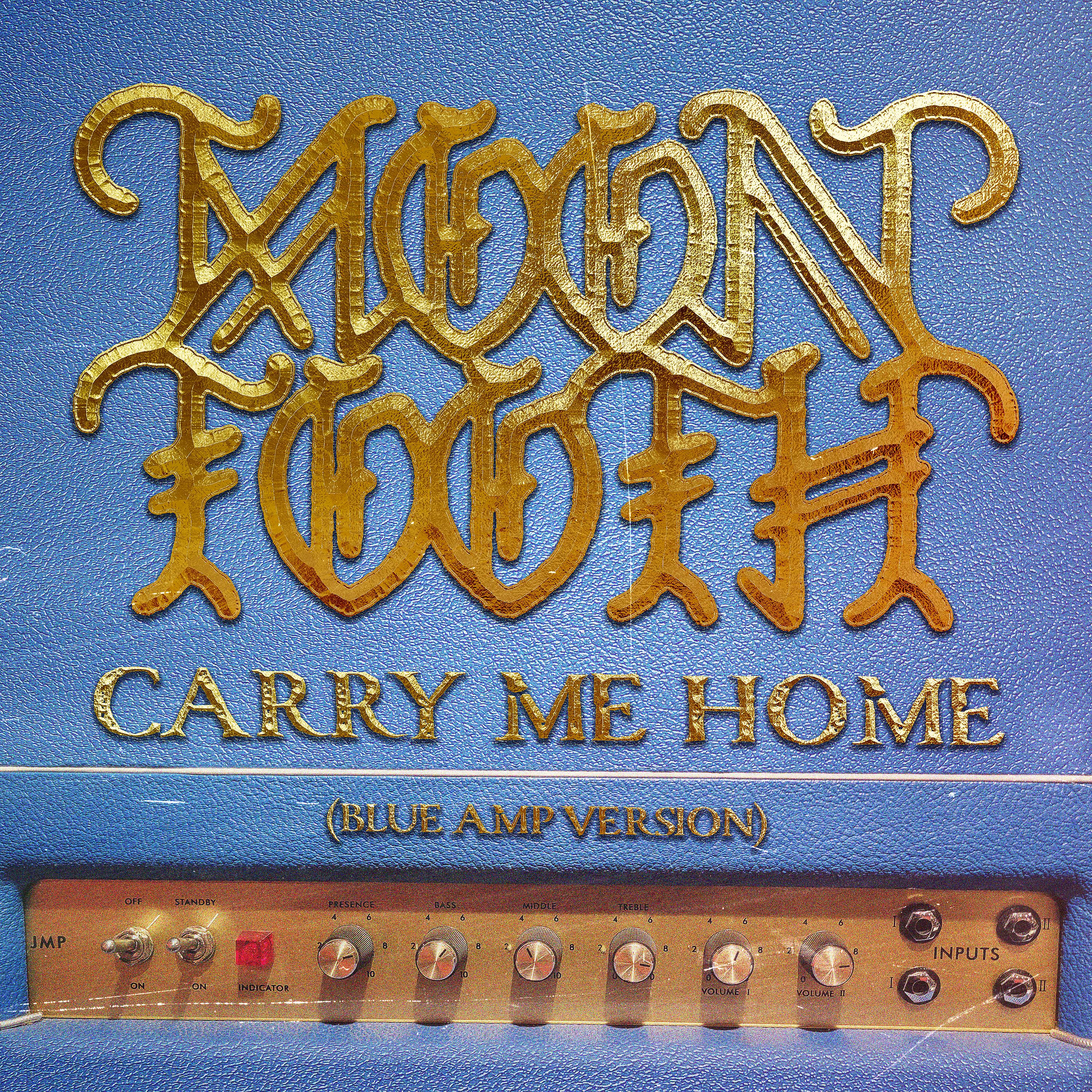 Постер альбома Carry Me Home (Blue Amp Version)