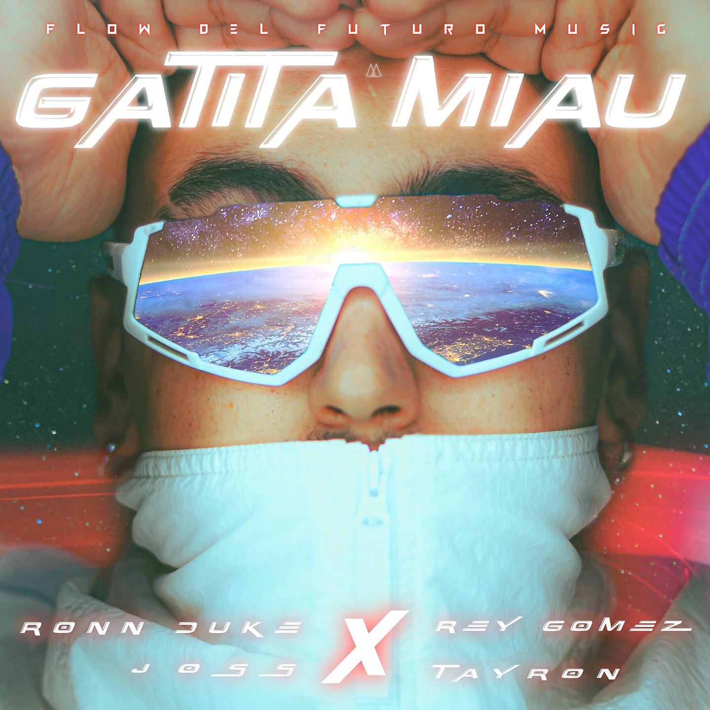 Постер альбома Gatita Miau