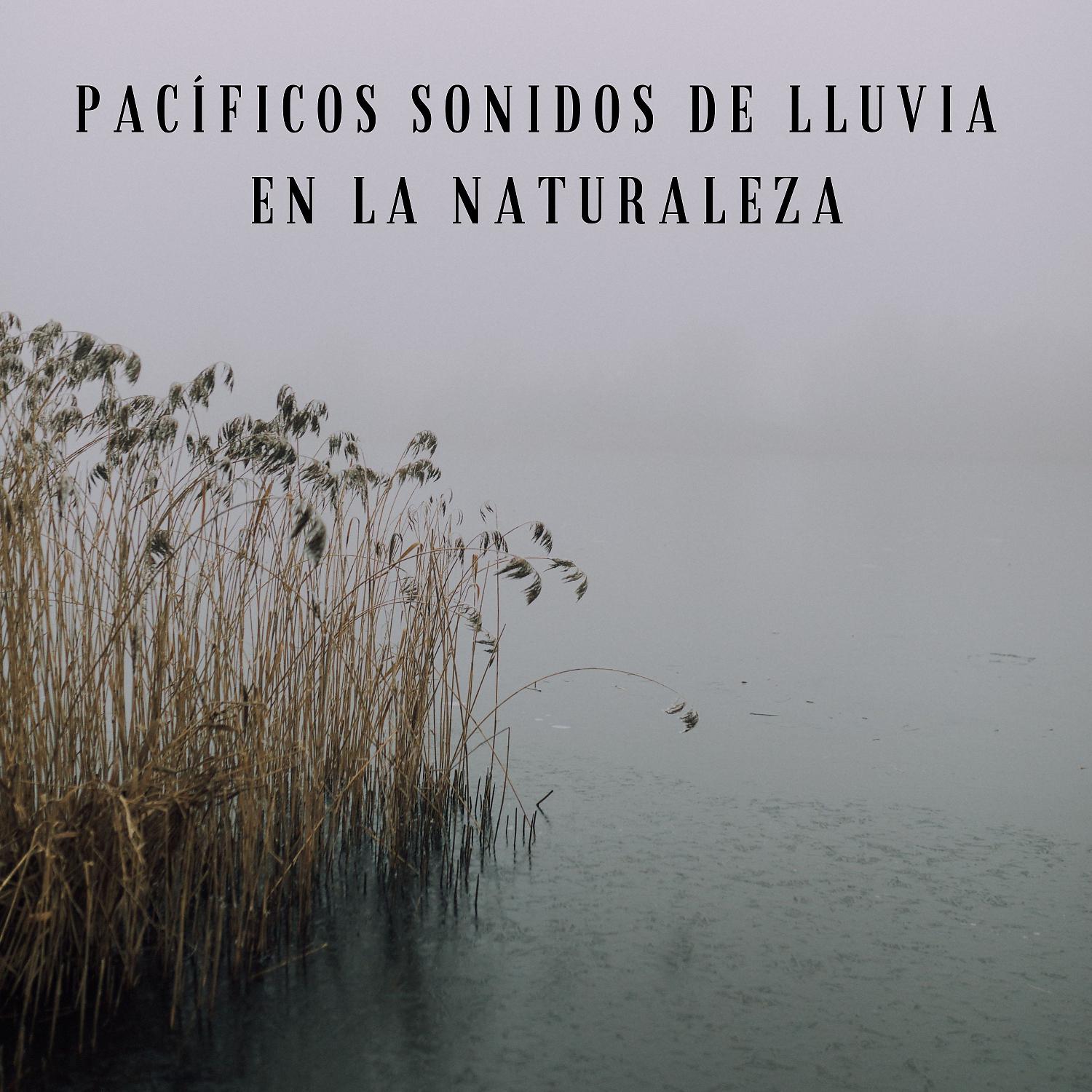 Постер альбома Pacíficos Sonidos De Lluvia En La Naturaleza