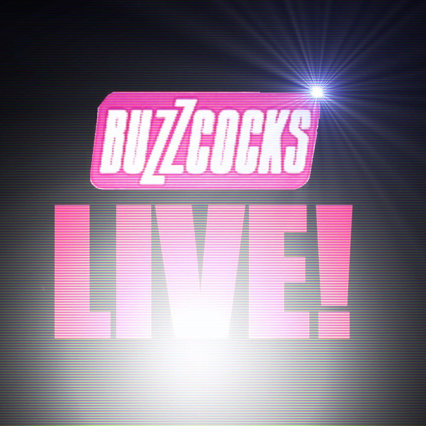 Buzzcocks - Love You More (Live, L'Arapaho Club, Paris, 12 April 1995)