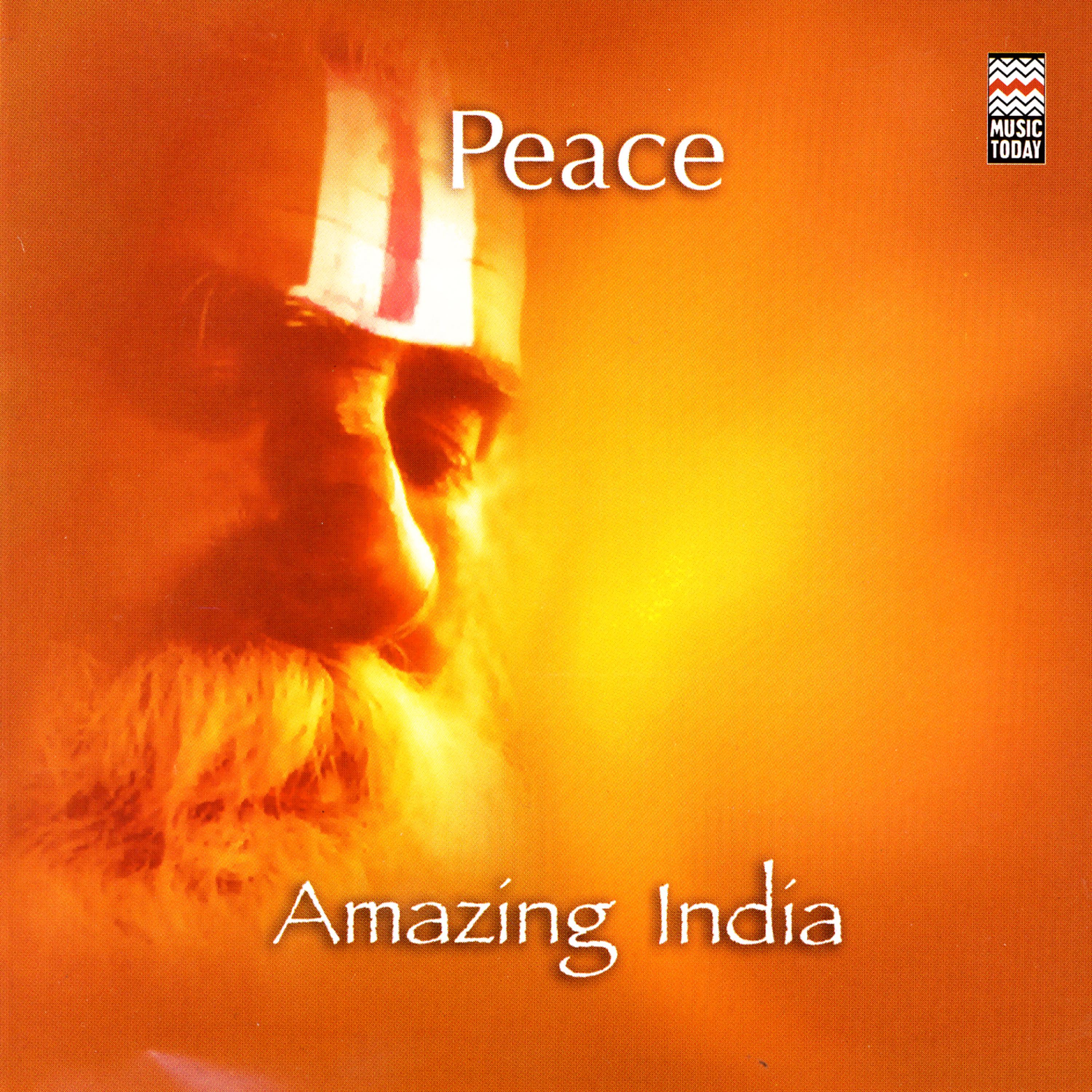 Постер альбома Amazing India - Peace