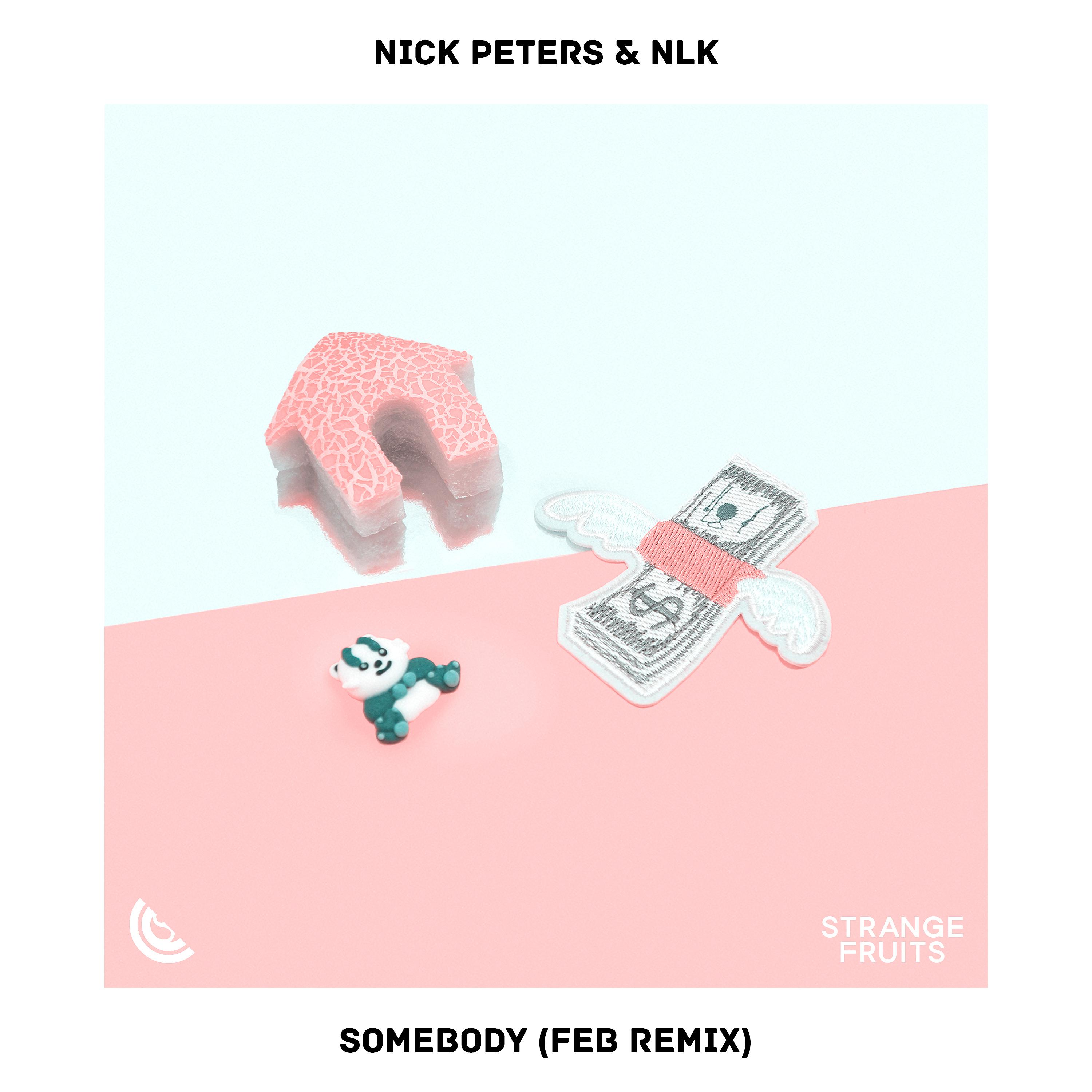 Постер альбома Somebody (Feb Remix)