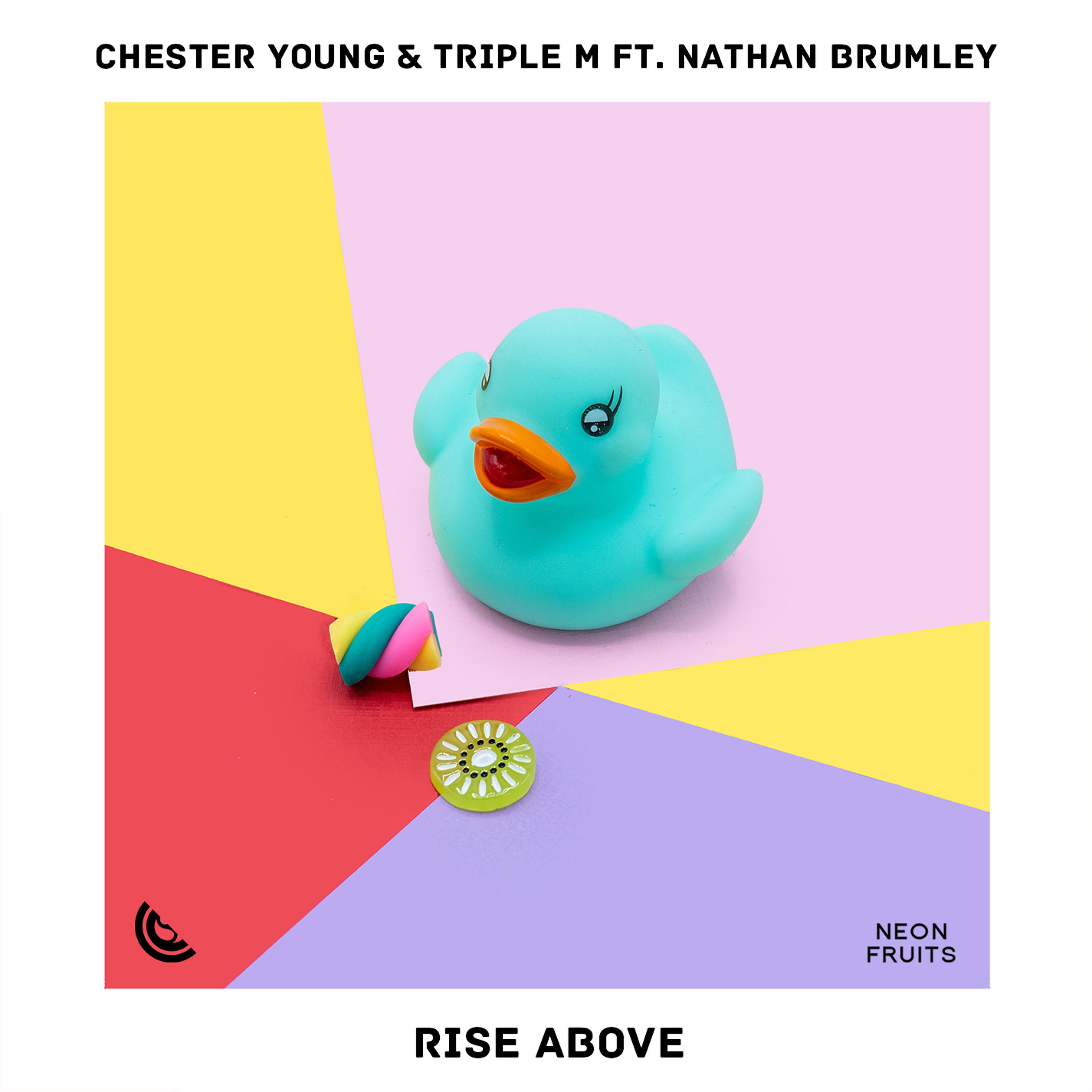 Постер альбома Rise Above (feat. Nathan Brumley)