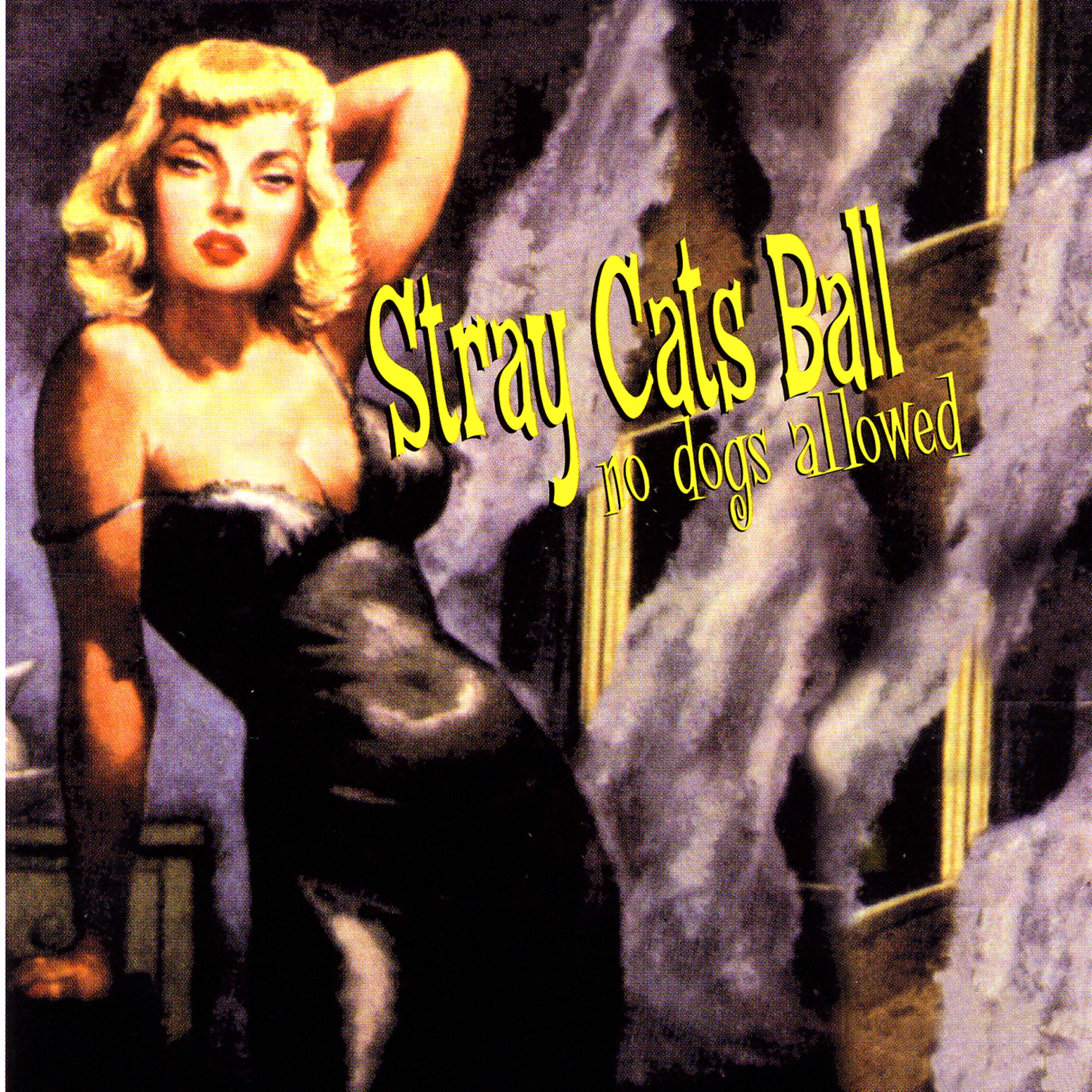 Постер альбома Stray Cats Ball, No Dogs Allowed