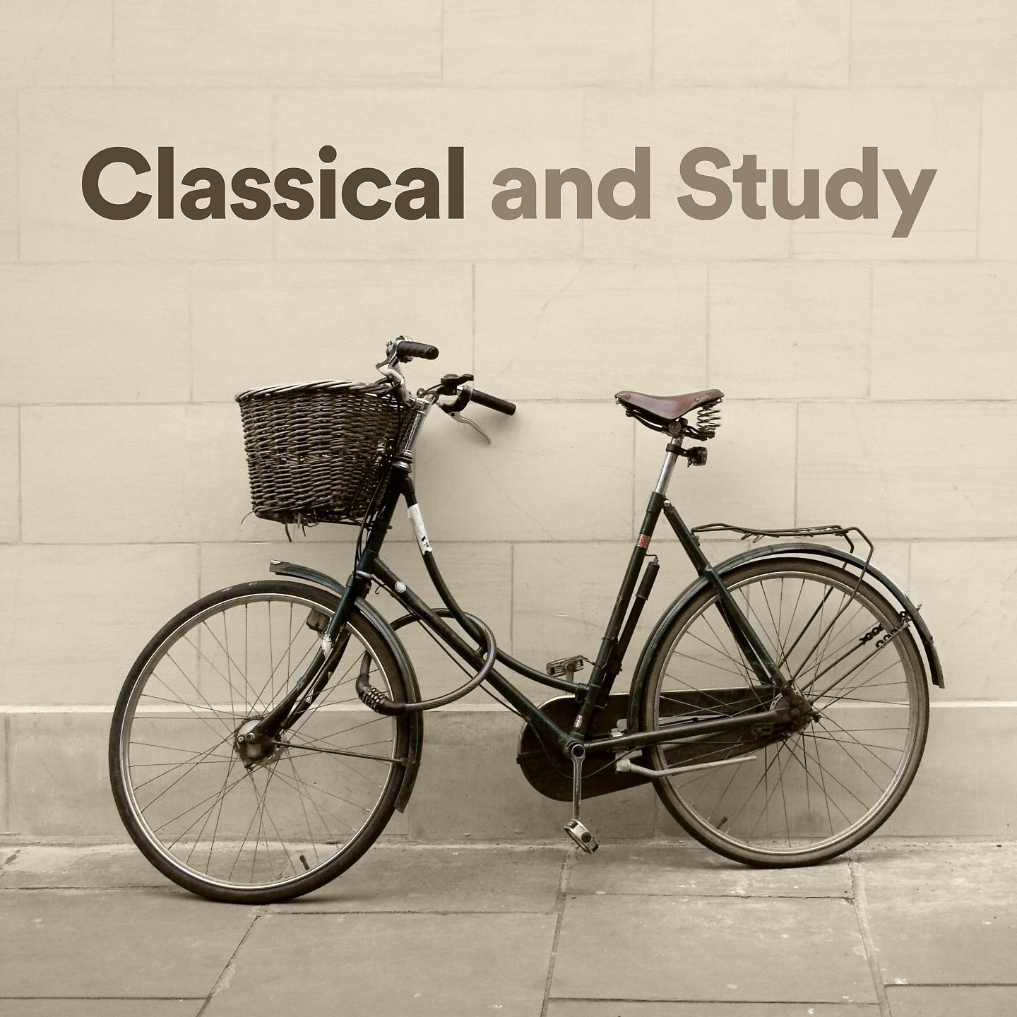 Постер альбома Classical and Study