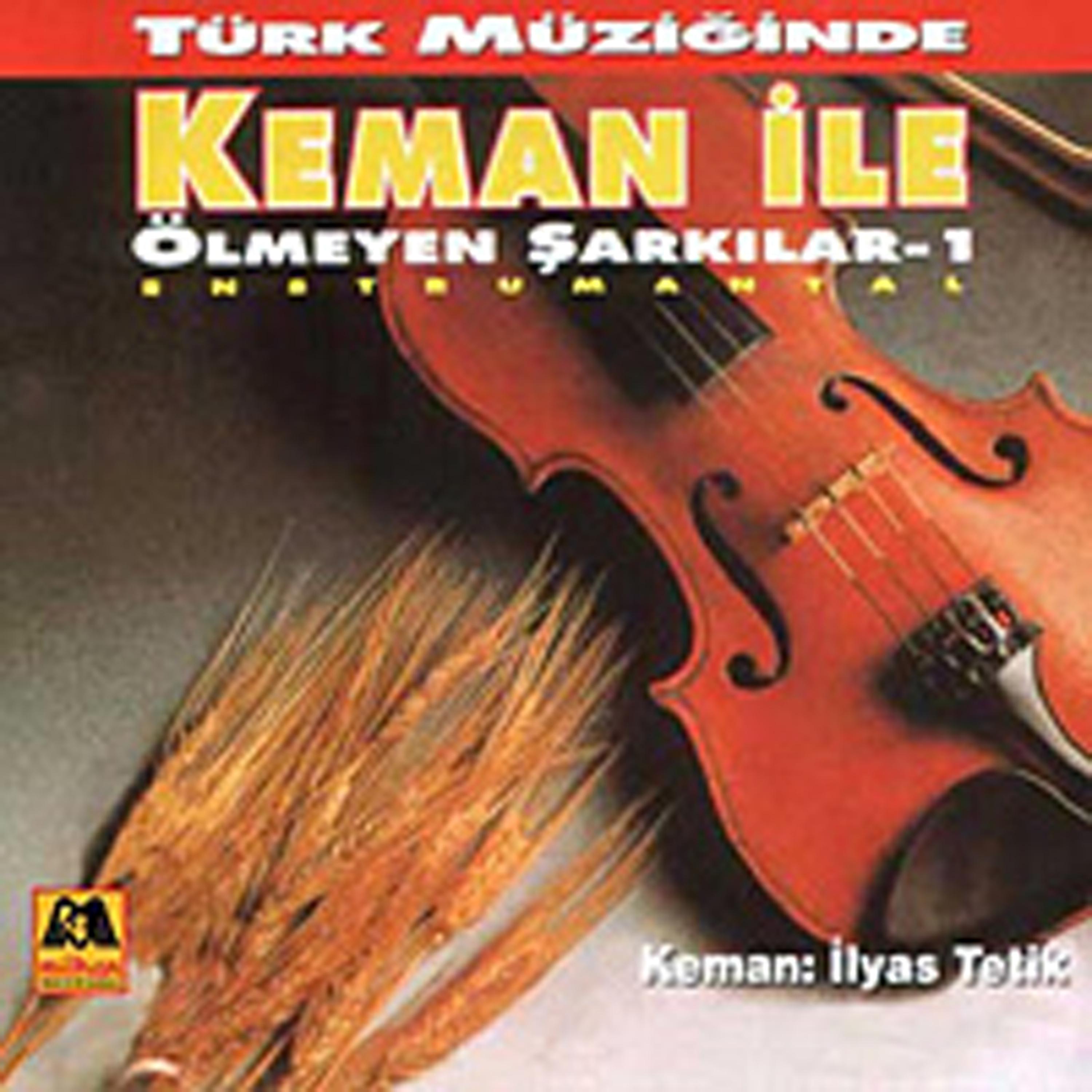 Постер альбома Türk Müziginde Keman Ile Ölmeyen Sarkilar - 1 Enstrumental