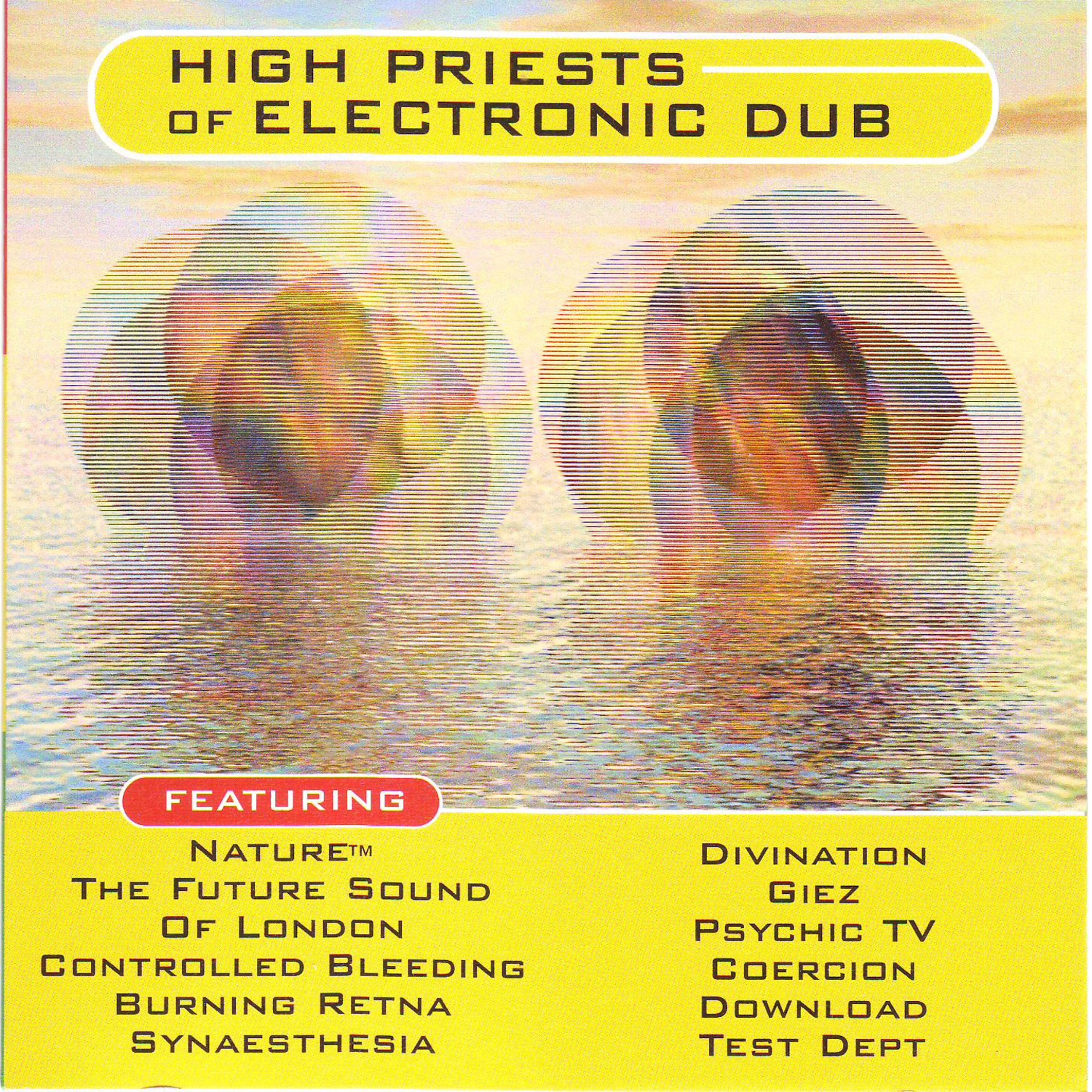 Постер альбома High Priests Of Electronic Dub