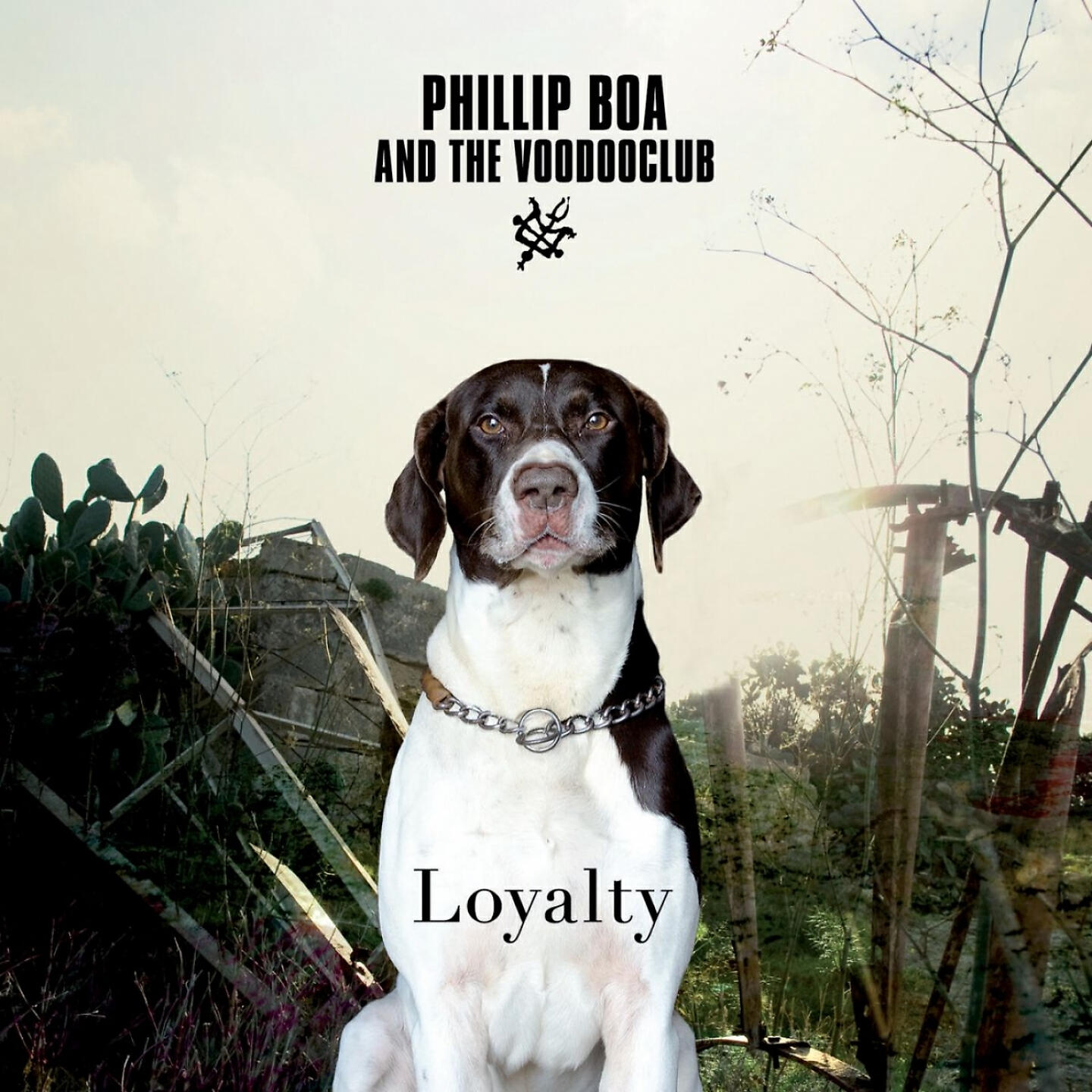 Phillip Boa And The Voodooclub - When the Wall of Voodoo Breaks
