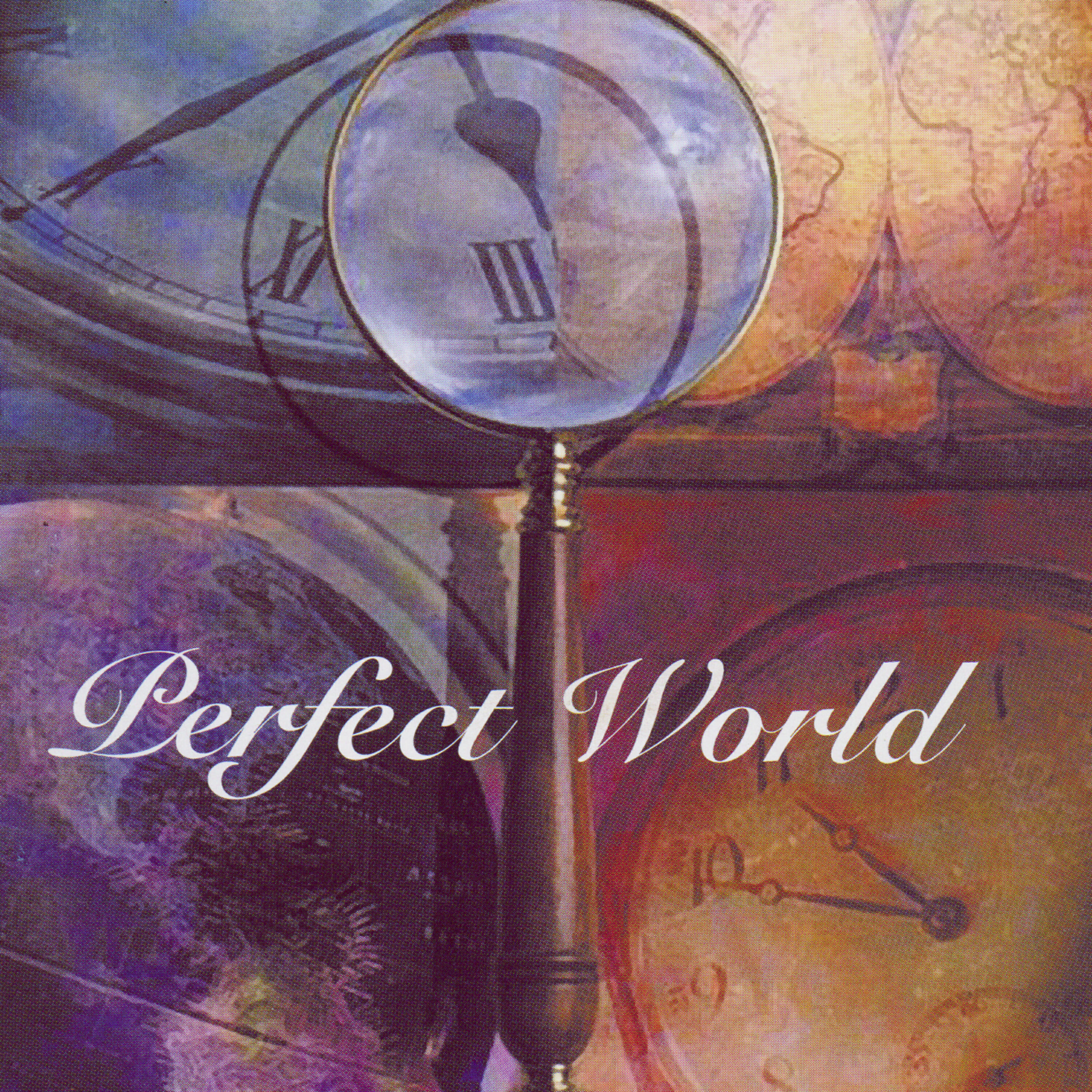 Постер альбома Perfect World