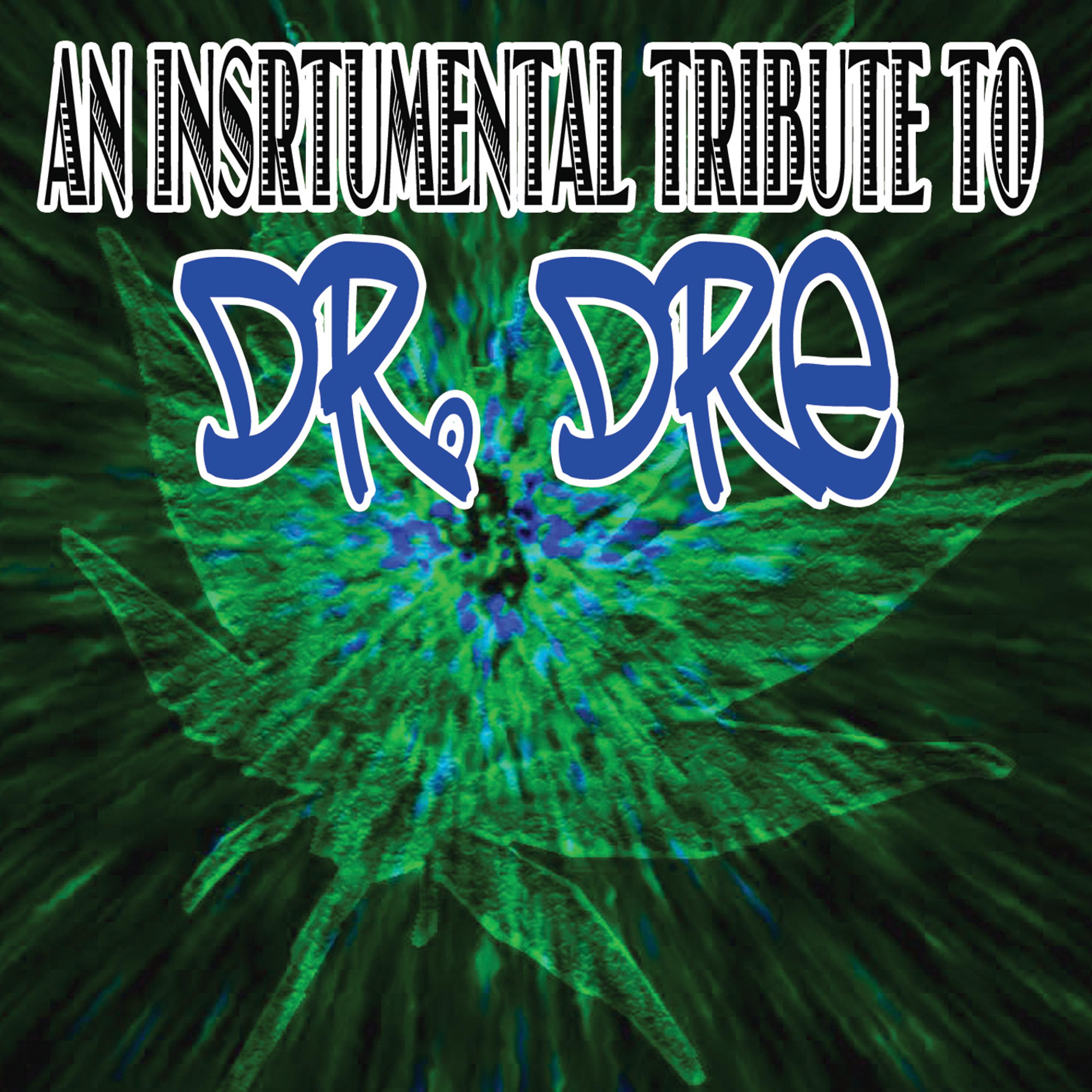 Постер альбома An Instrumental Tribute To Dr. Dre
