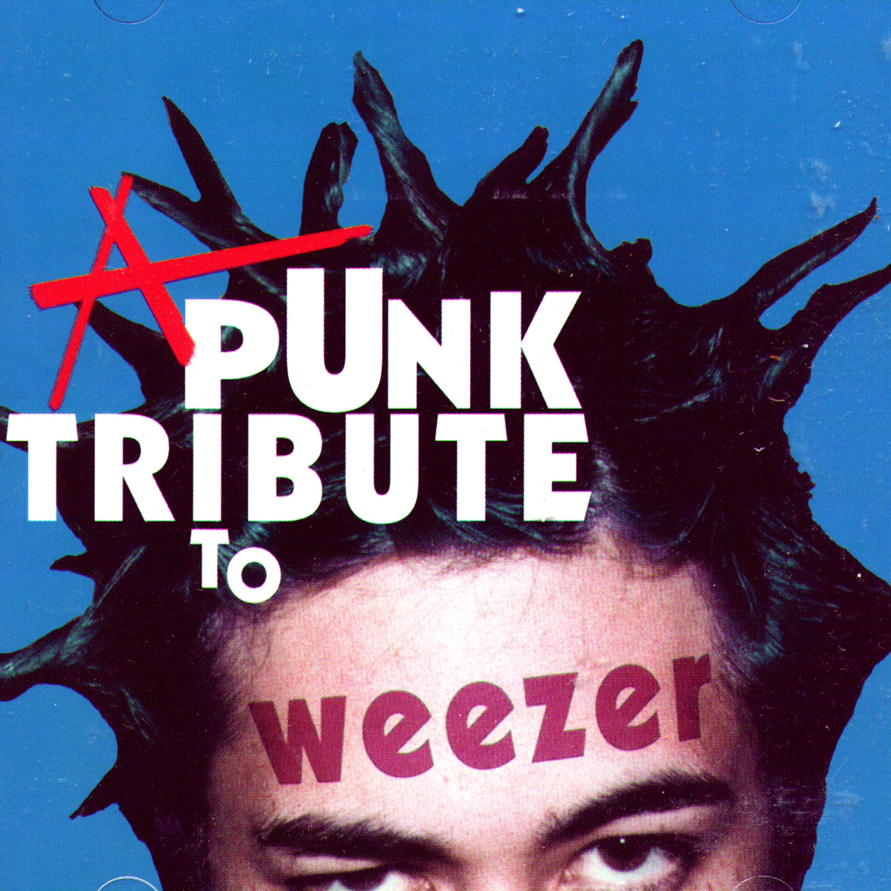 Постер альбома A Punk Tribute To Weezer