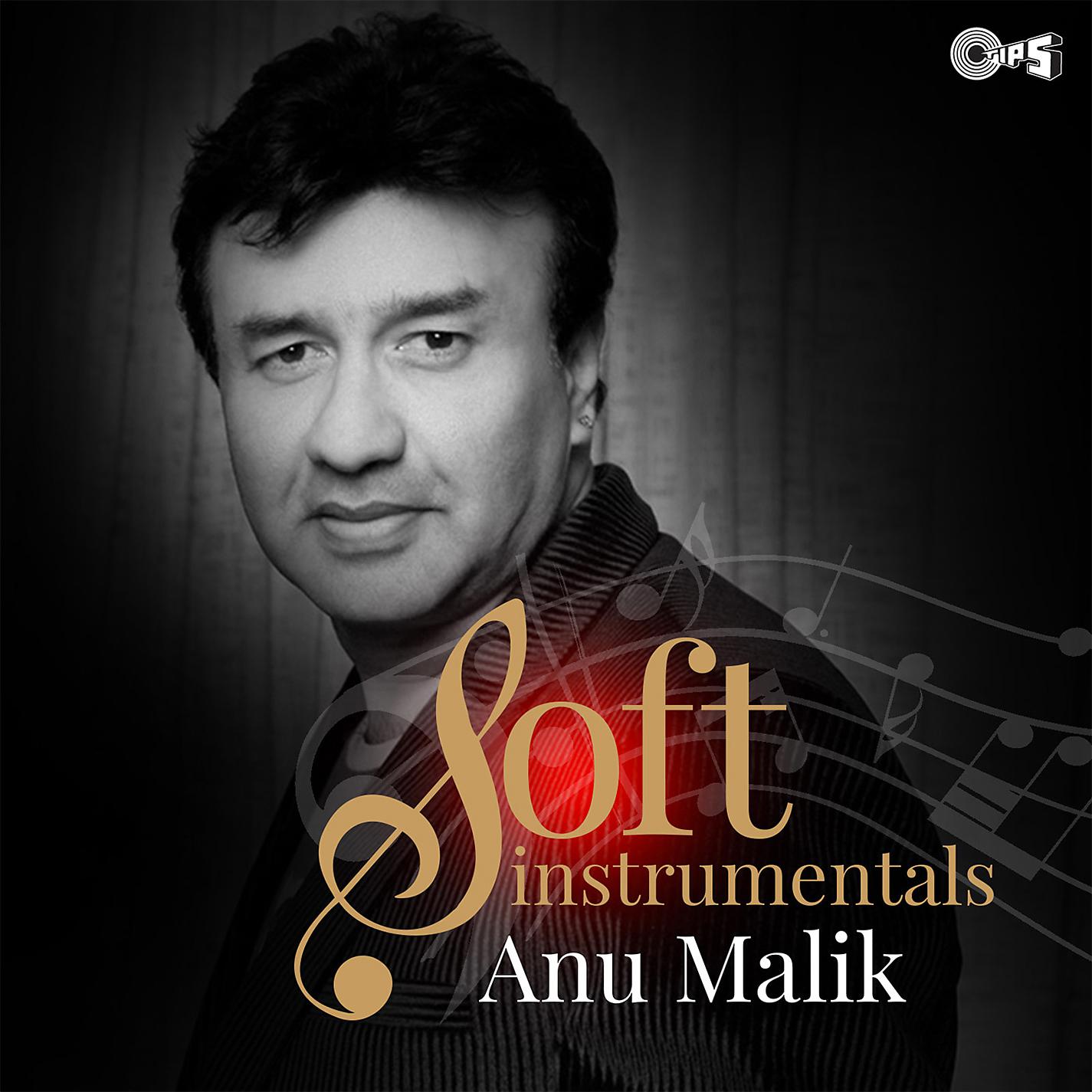 Постер альбома Soft Instrumentals: Anu Malik