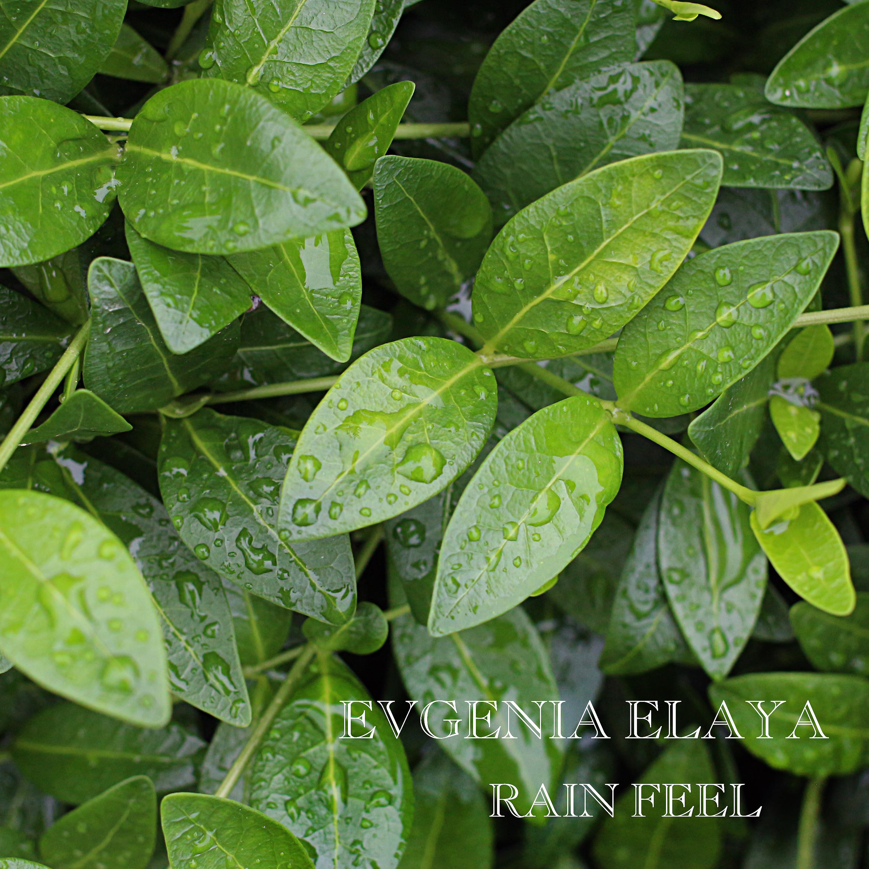 Постер альбома Rain Feel