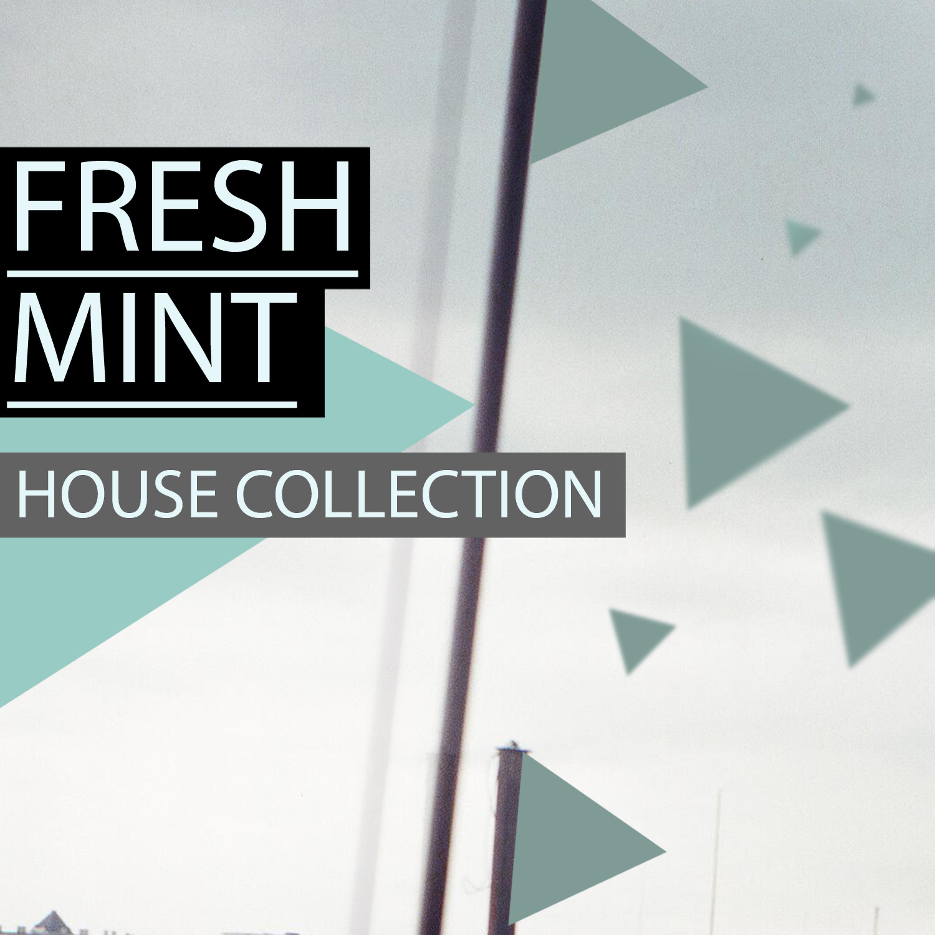 Постер альбома Fresh Mint