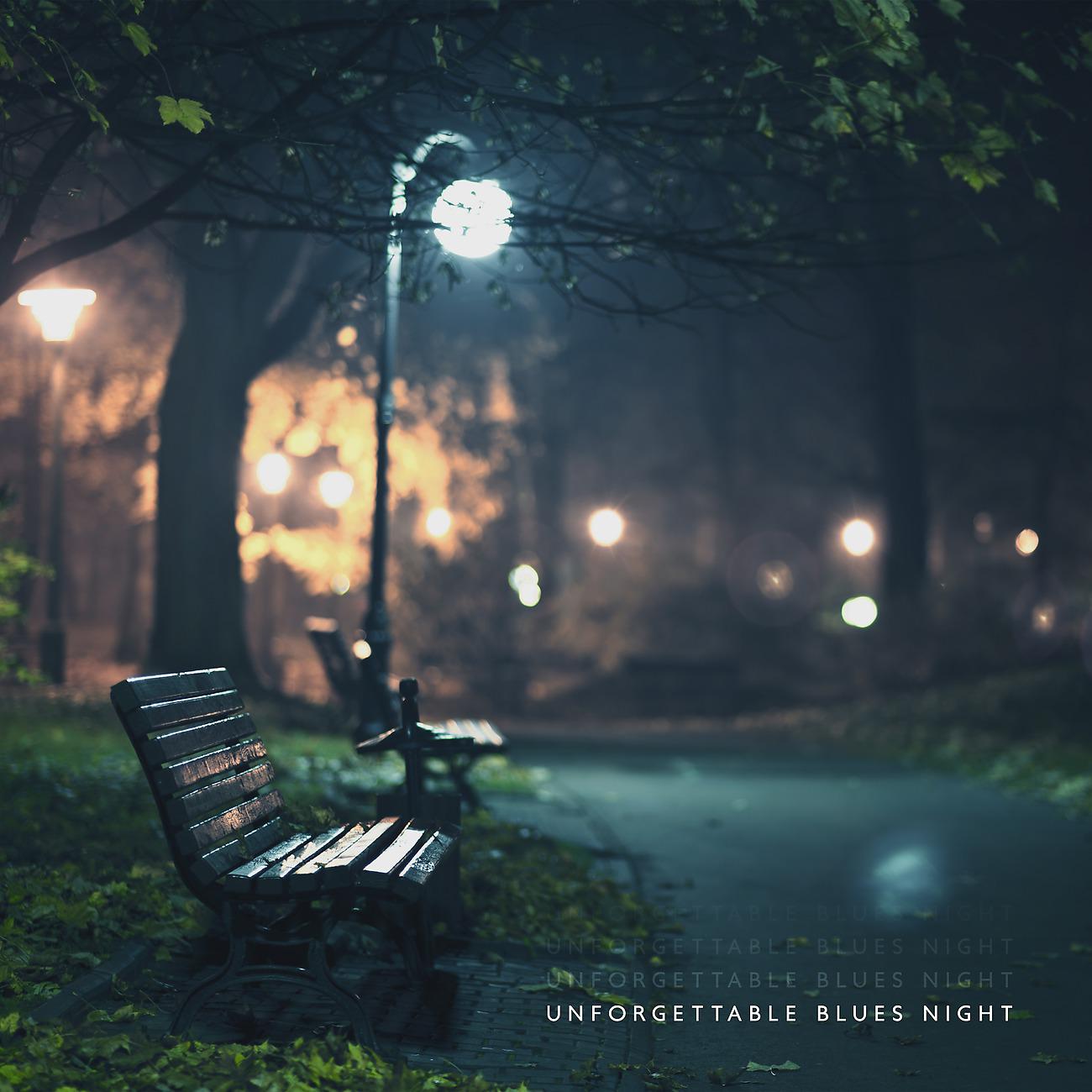 Постер альбома Unforgettable Blues Night