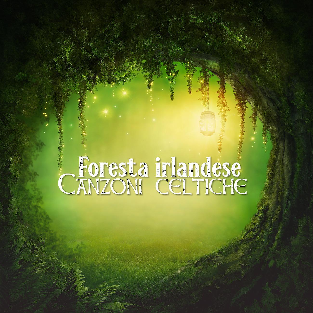 Постер альбома Foresta irlandese