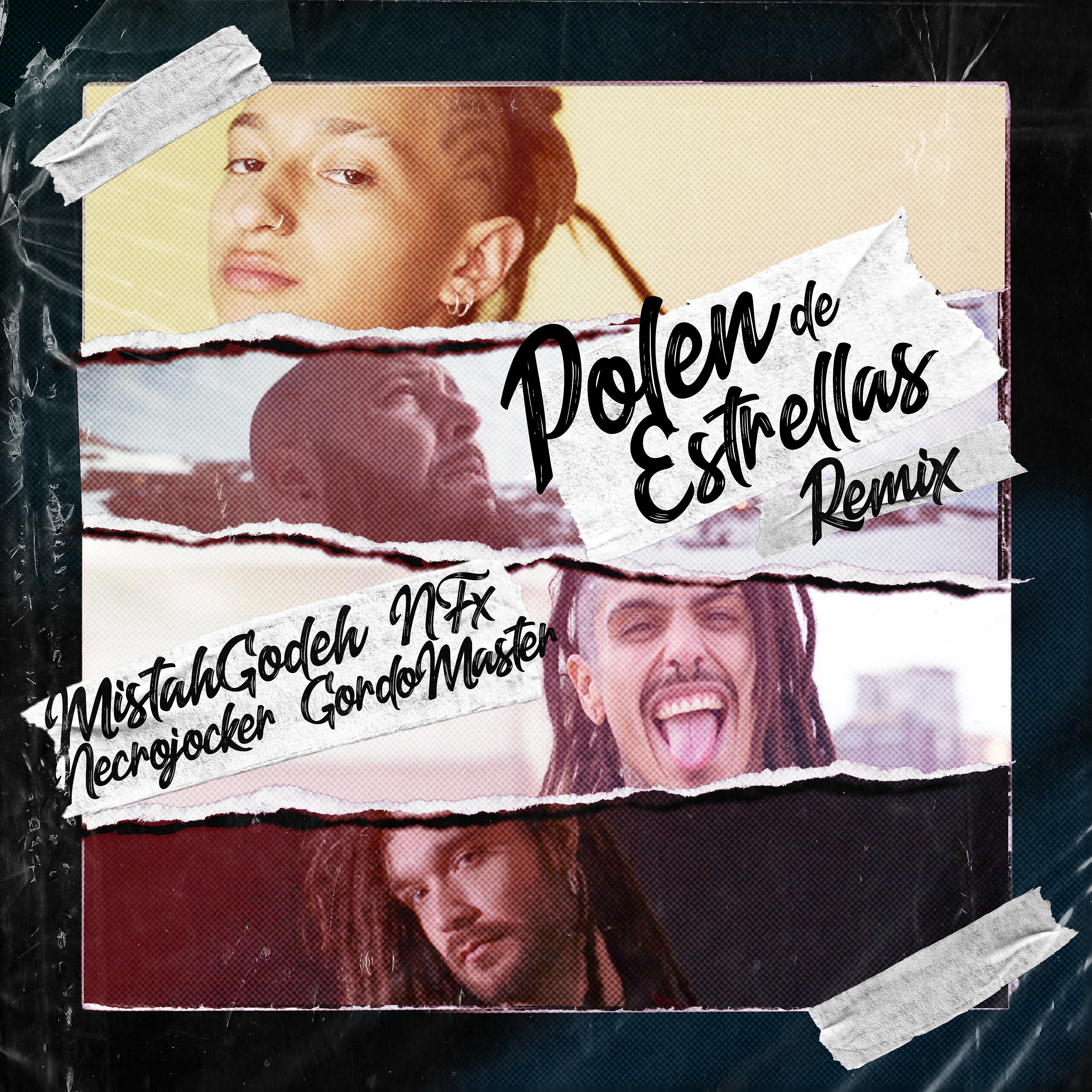 Постер альбома Polen de Estrellas (Remix)