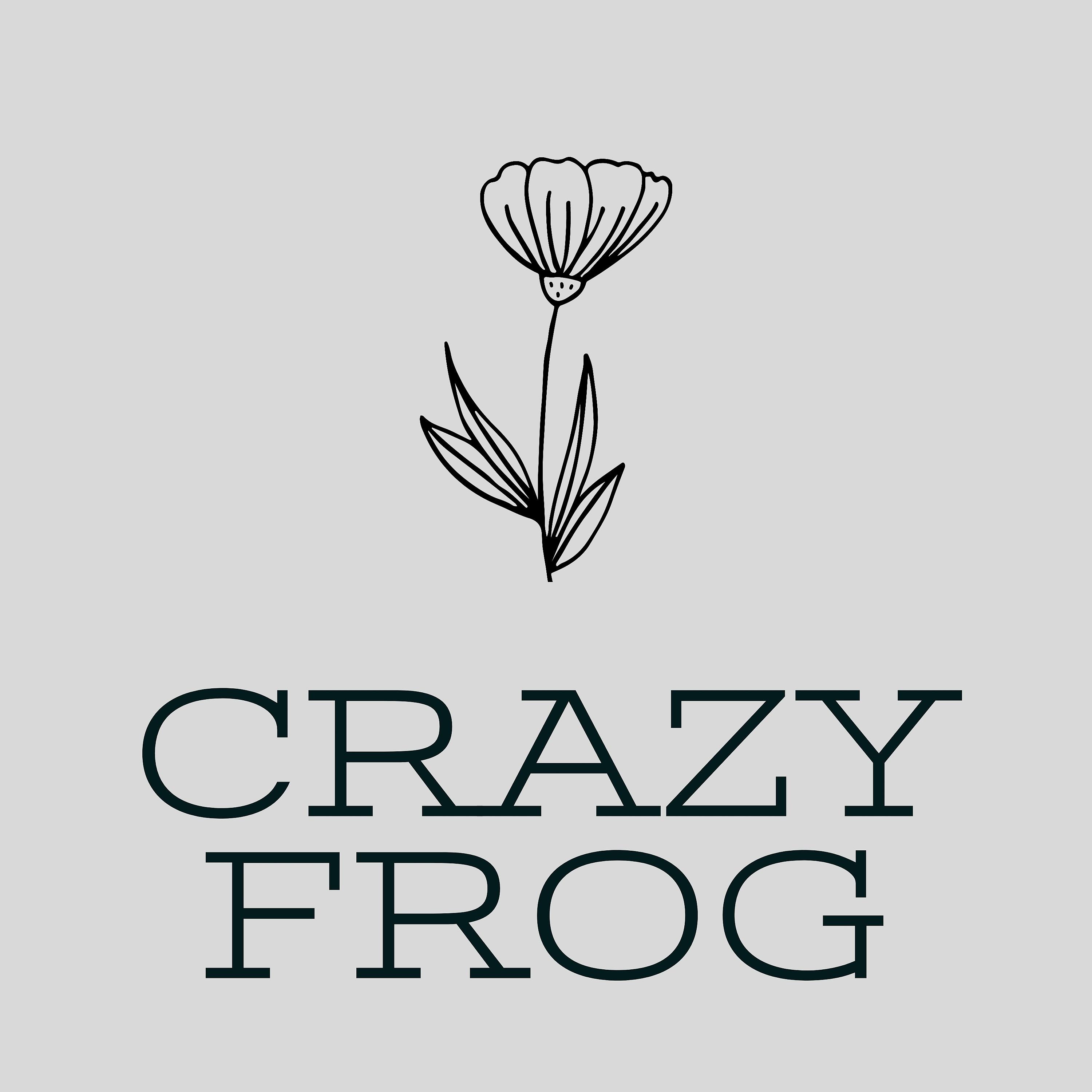 Постер альбома Crazy Frog