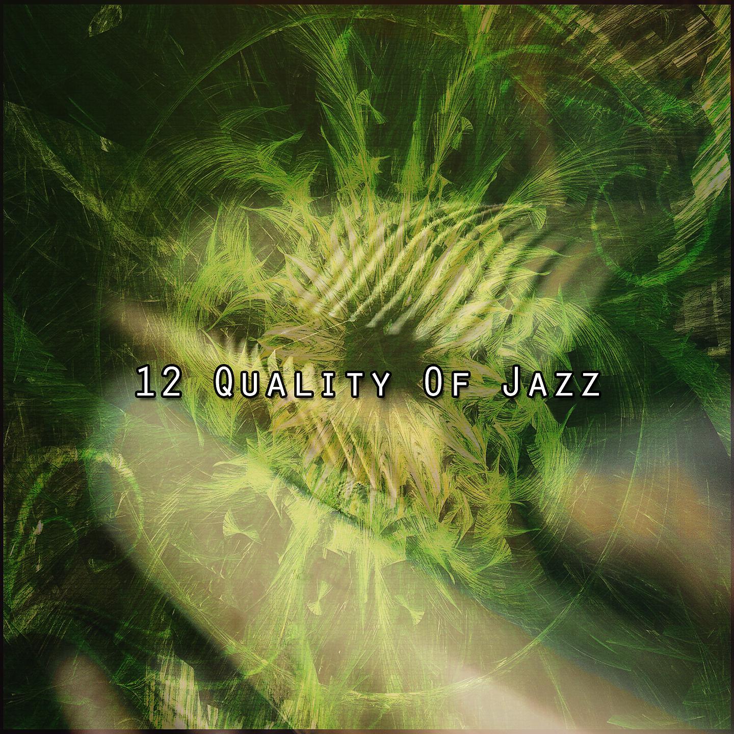 Постер альбома 12 Качество джаза