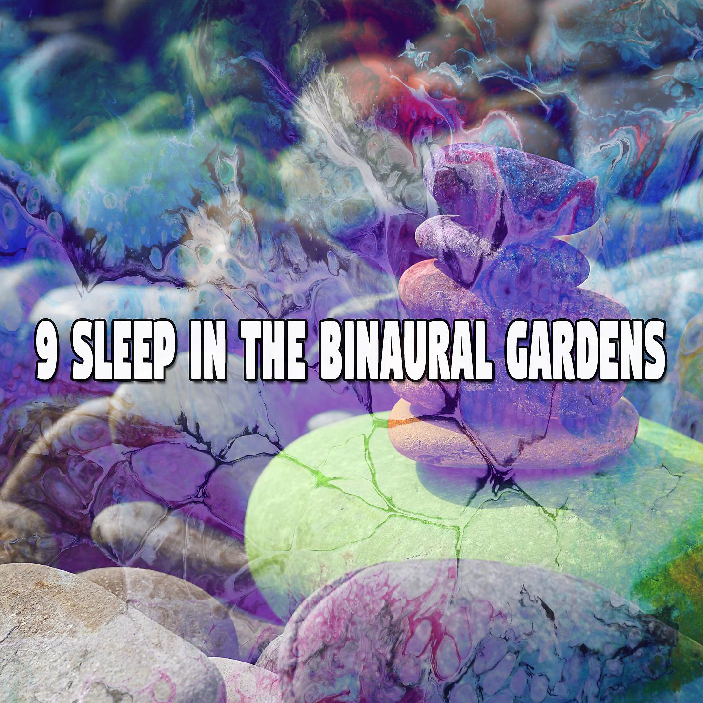 Постер альбома 9 Сон в бинауральных садах