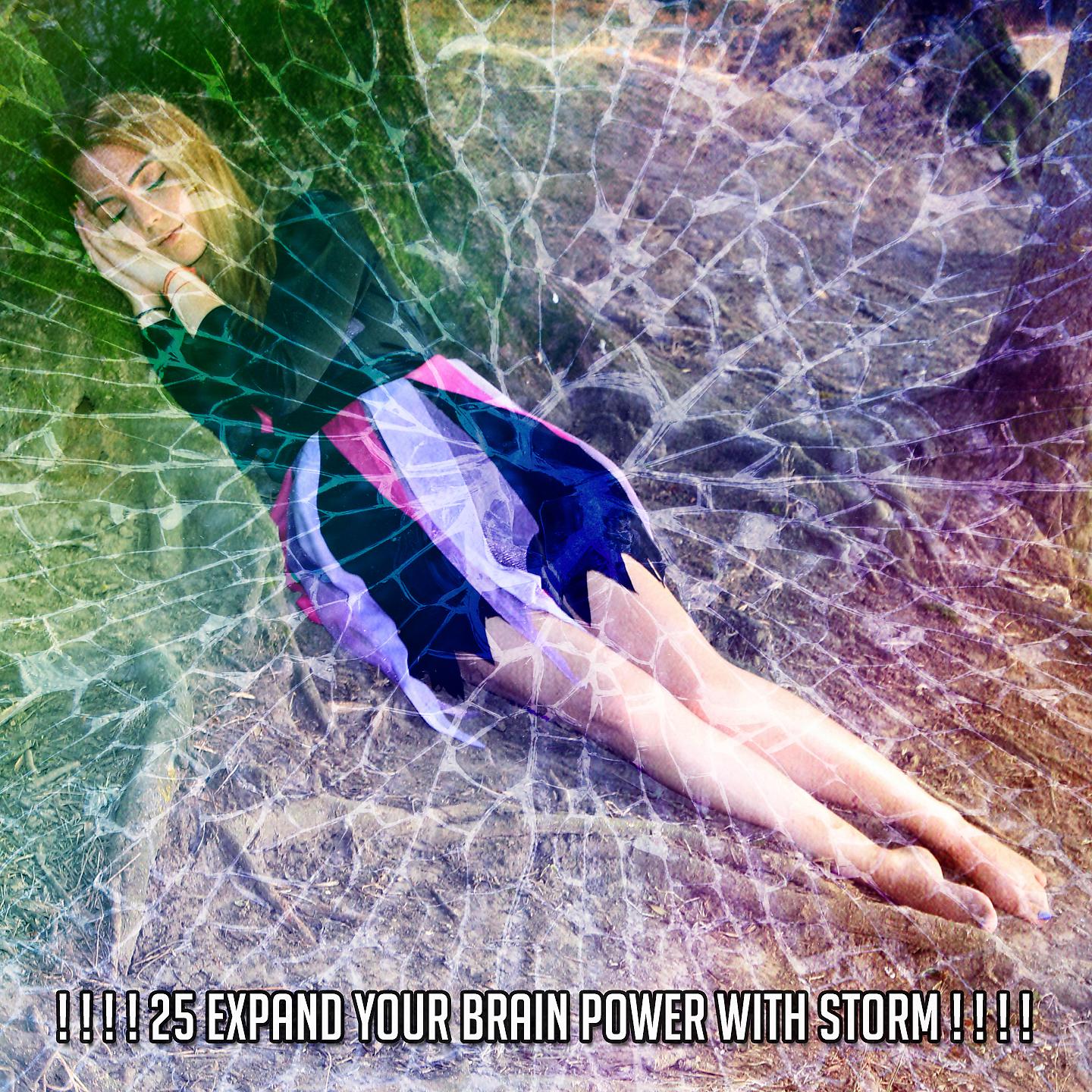Постер альбома ! ! ! ! 25 Расширьте возможности своего мозга с помощью Storm! ! ! !