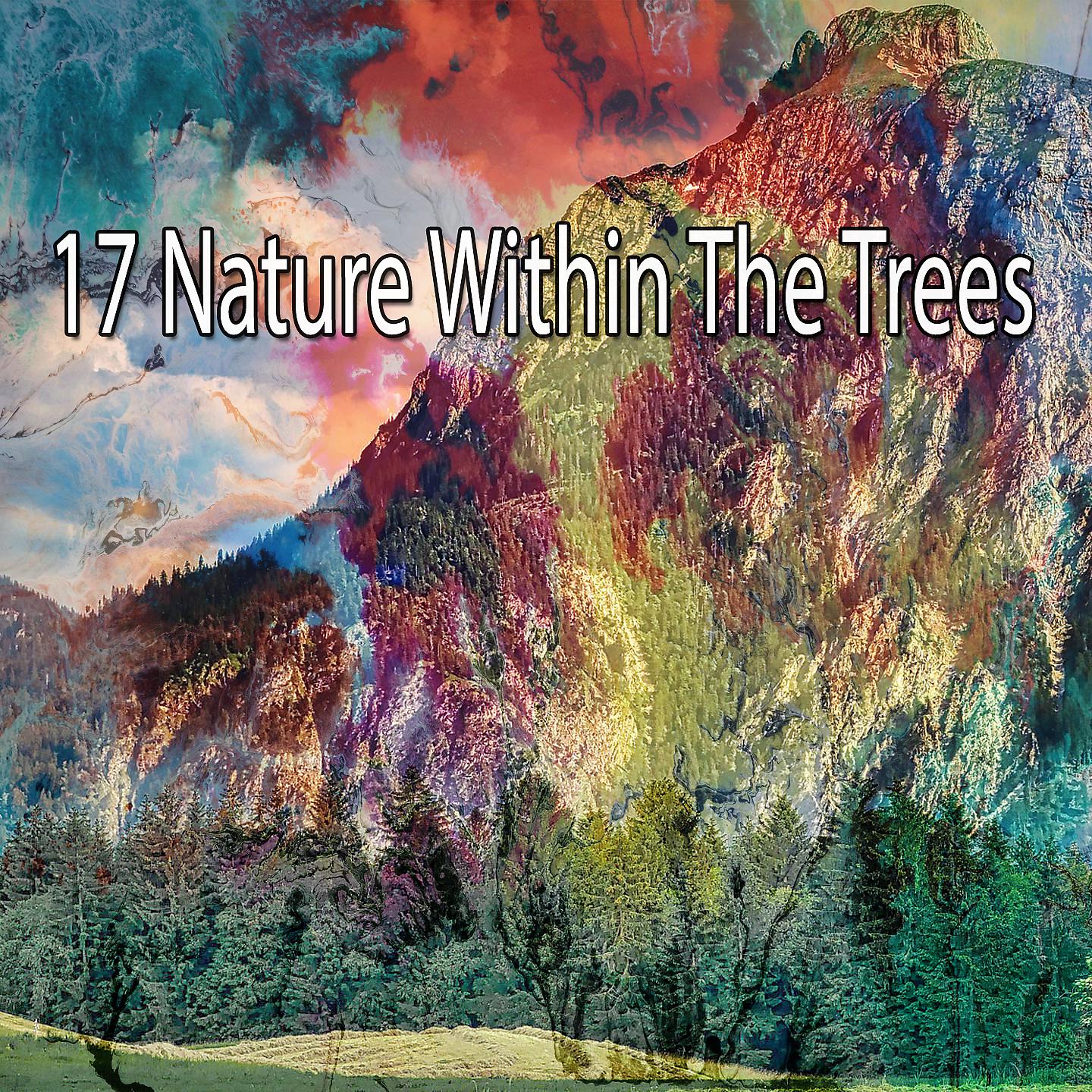 Постер альбома 17 Природа в деревьях