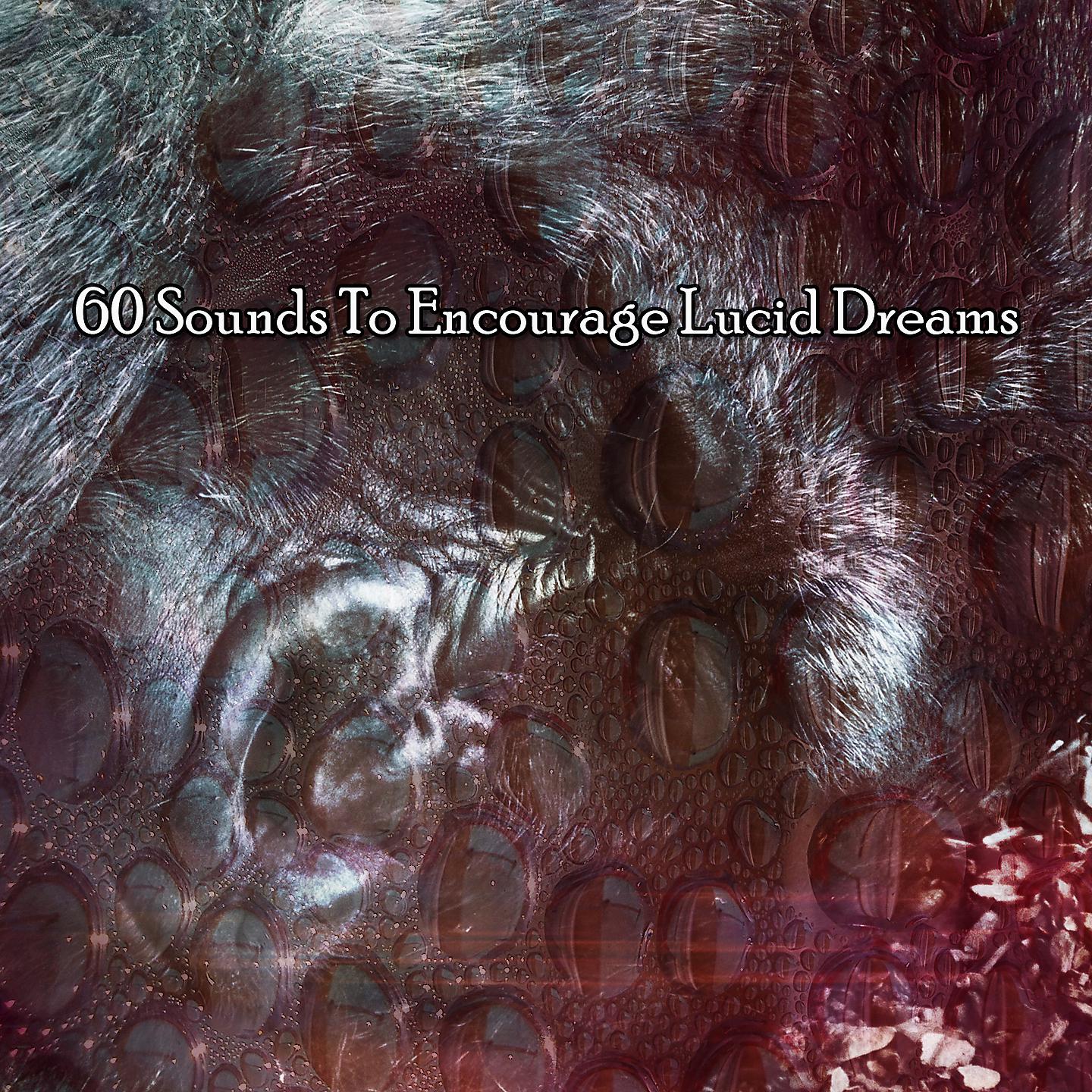 Постер альбома 60 звуков, вызывающих осознанные сновидения