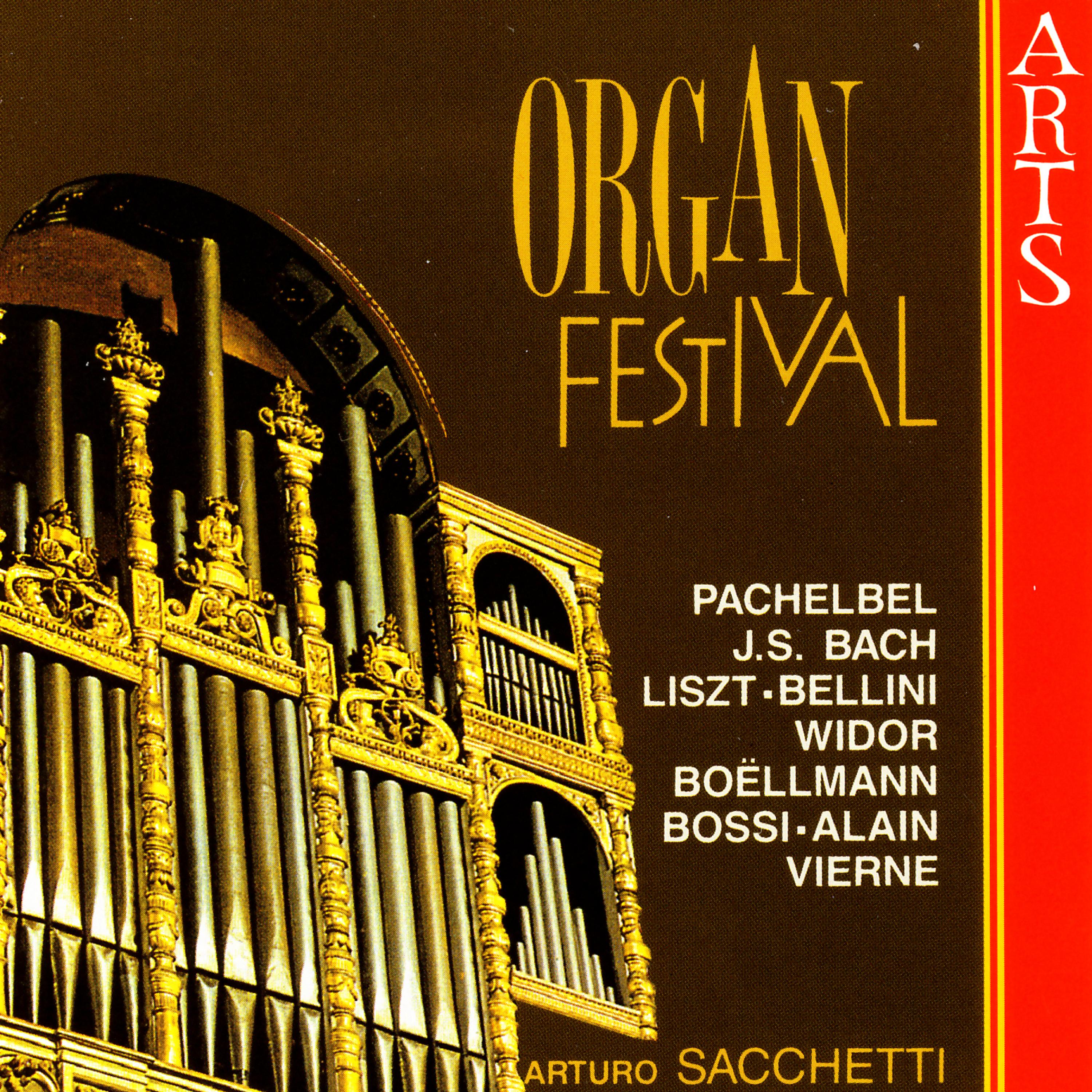 Постер альбома Organ Festival
