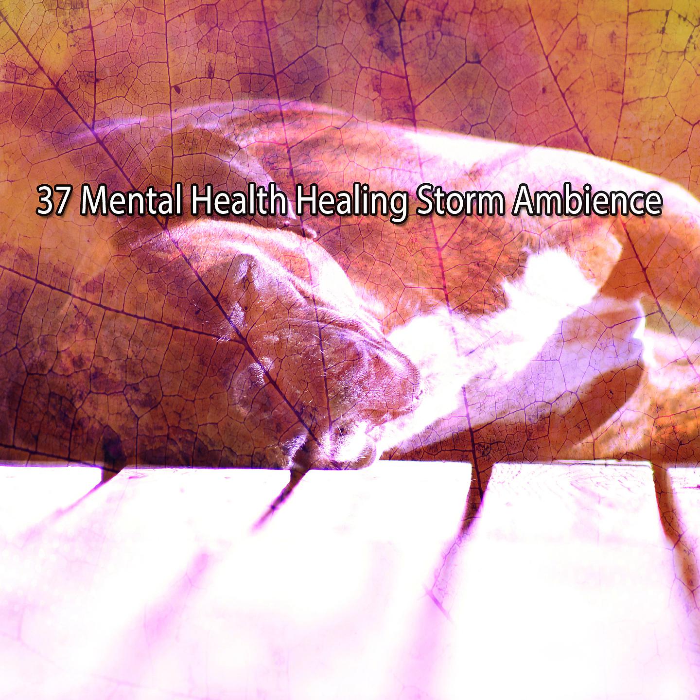 Постер альбома 37 Психическое здоровье Healing Storm Ambience