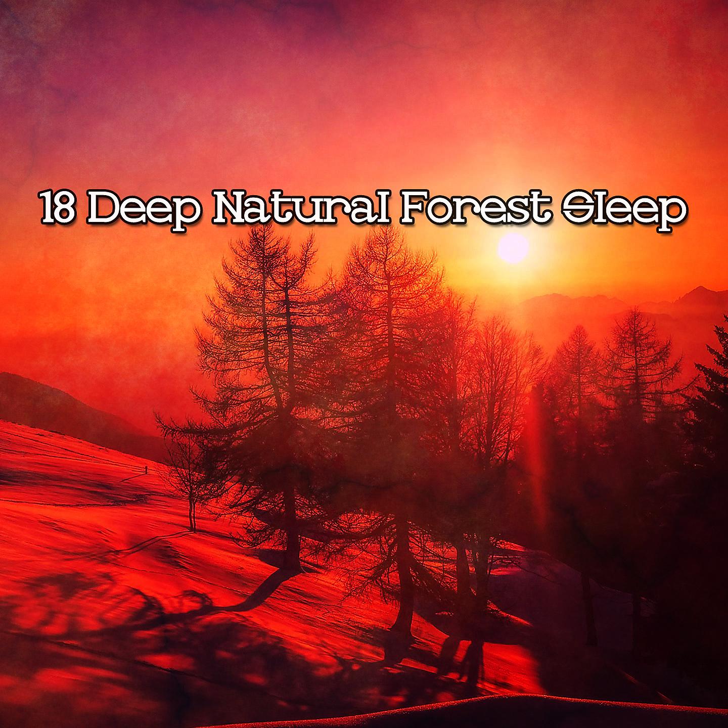 Постер альбома 18 Deep Natural Forest Sleep