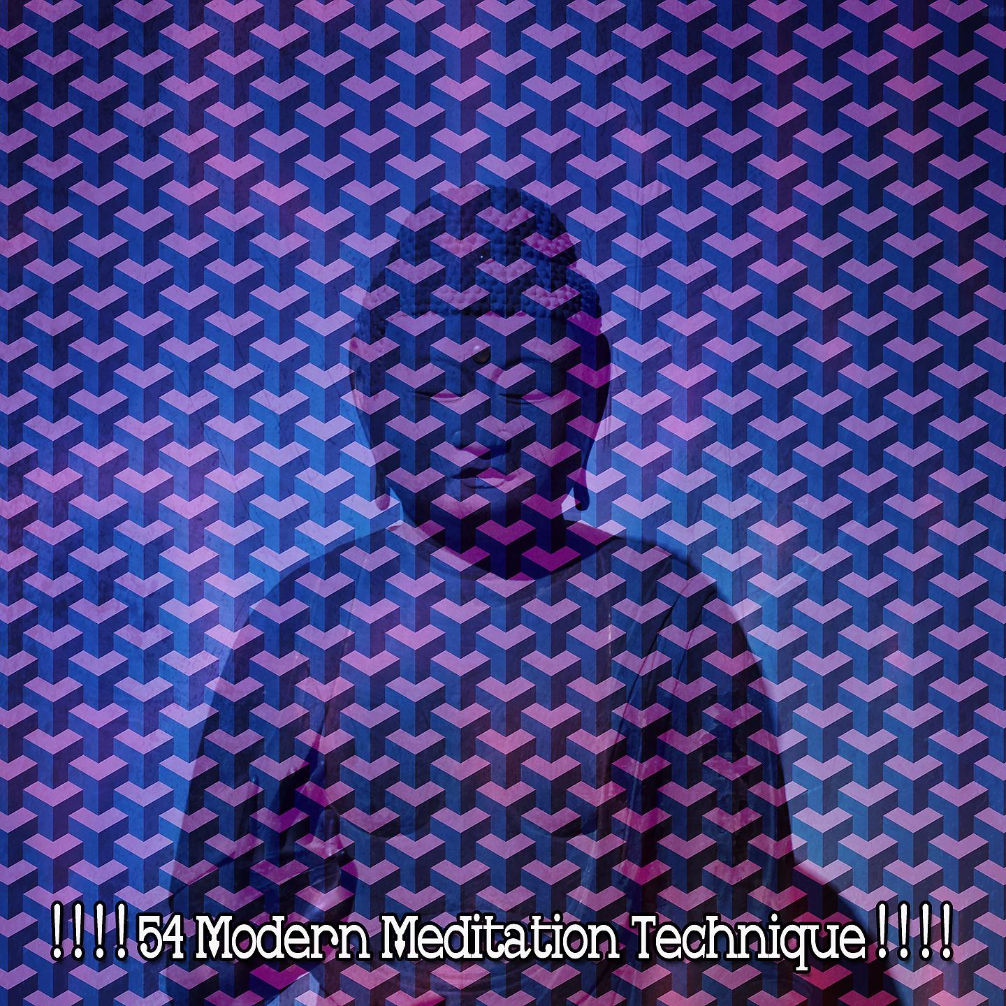 Постер альбома ! ! ! ! 54 Современная техника медитации! ! ! !