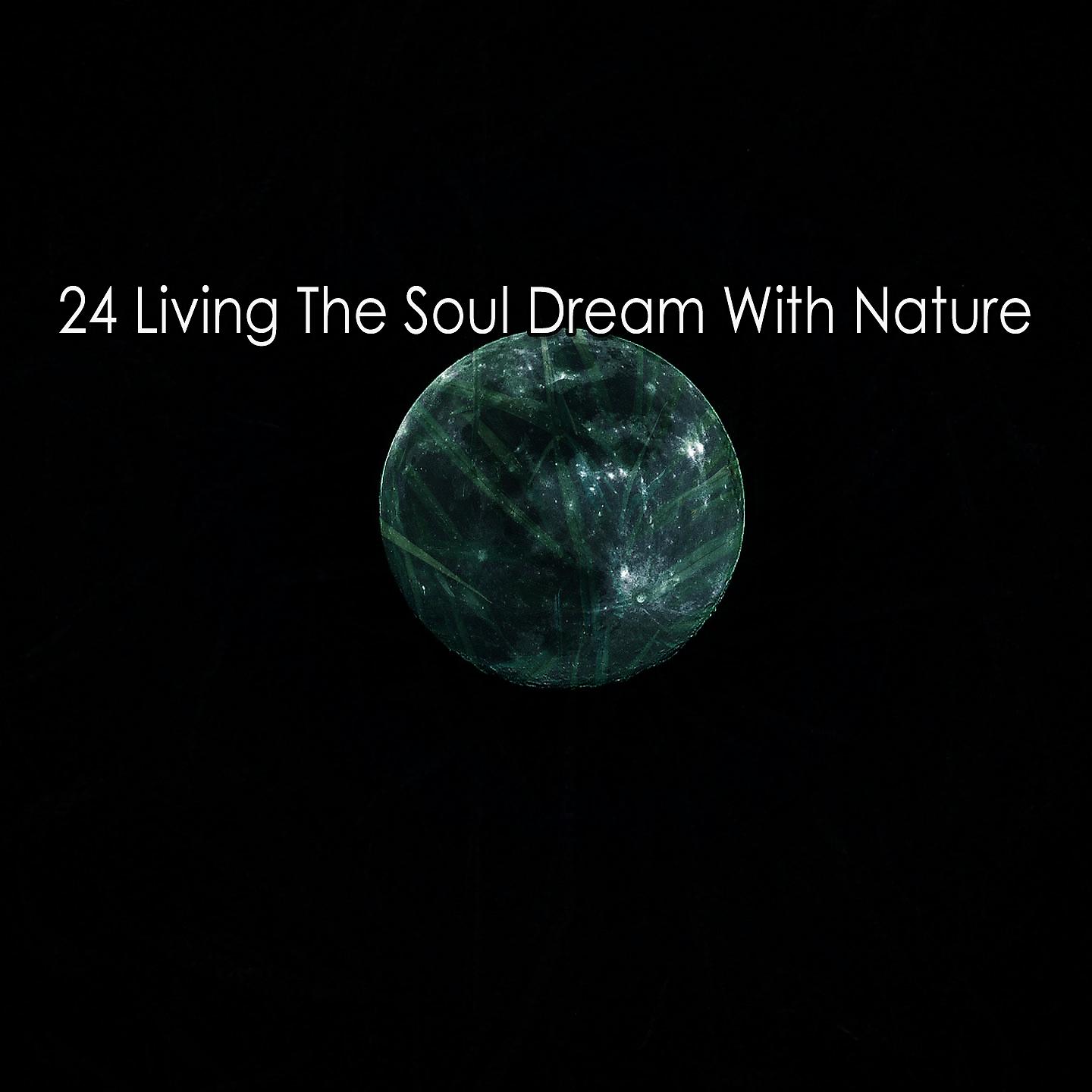 Постер альбома 24 Жизнь мечты души с природой