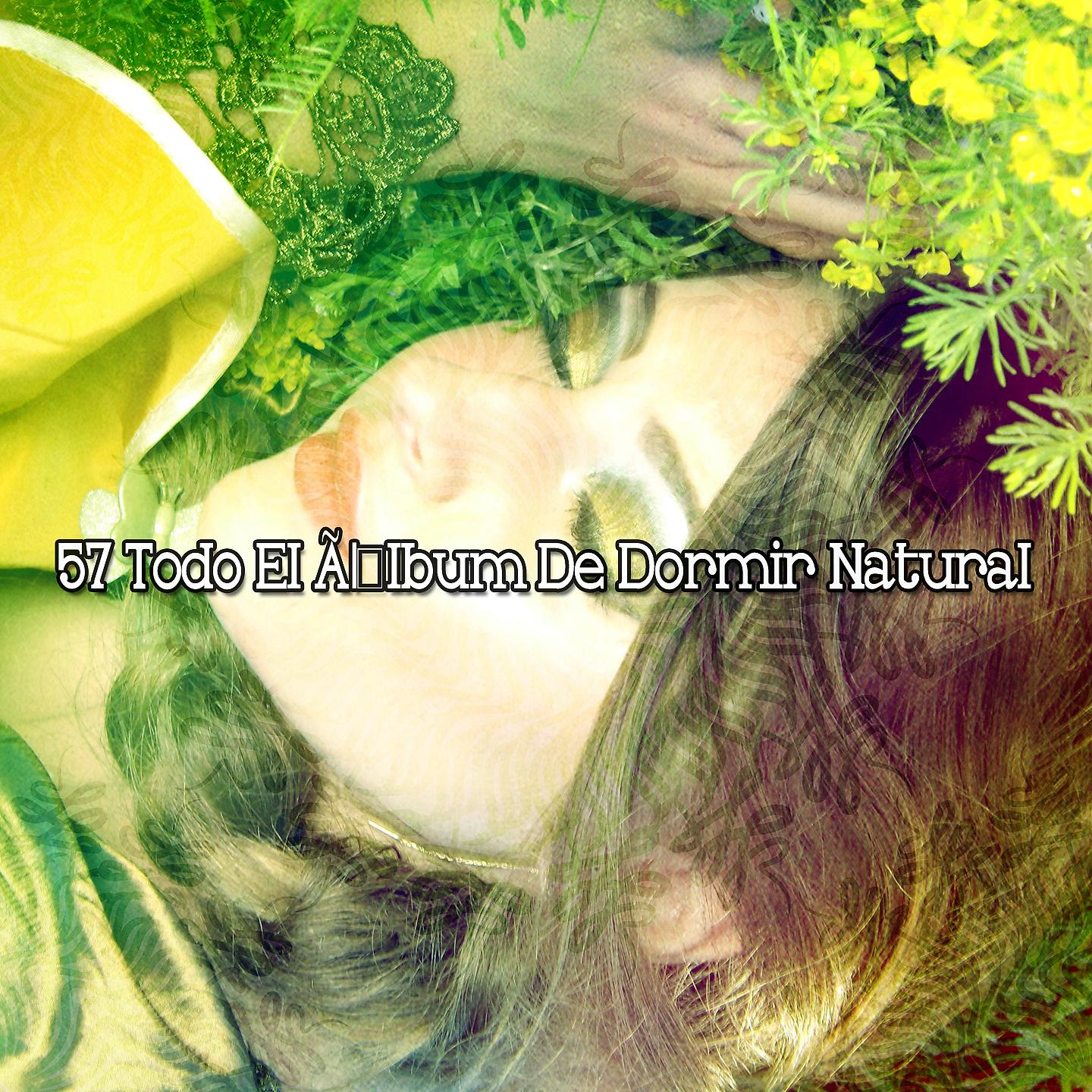 Постер альбома 57 Альбом каждого естественного сна