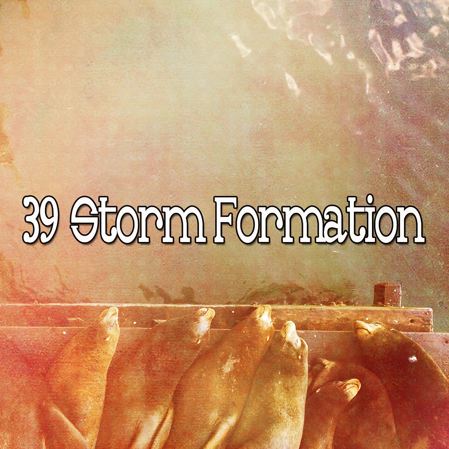Постер альбома 39 Штормовая формация