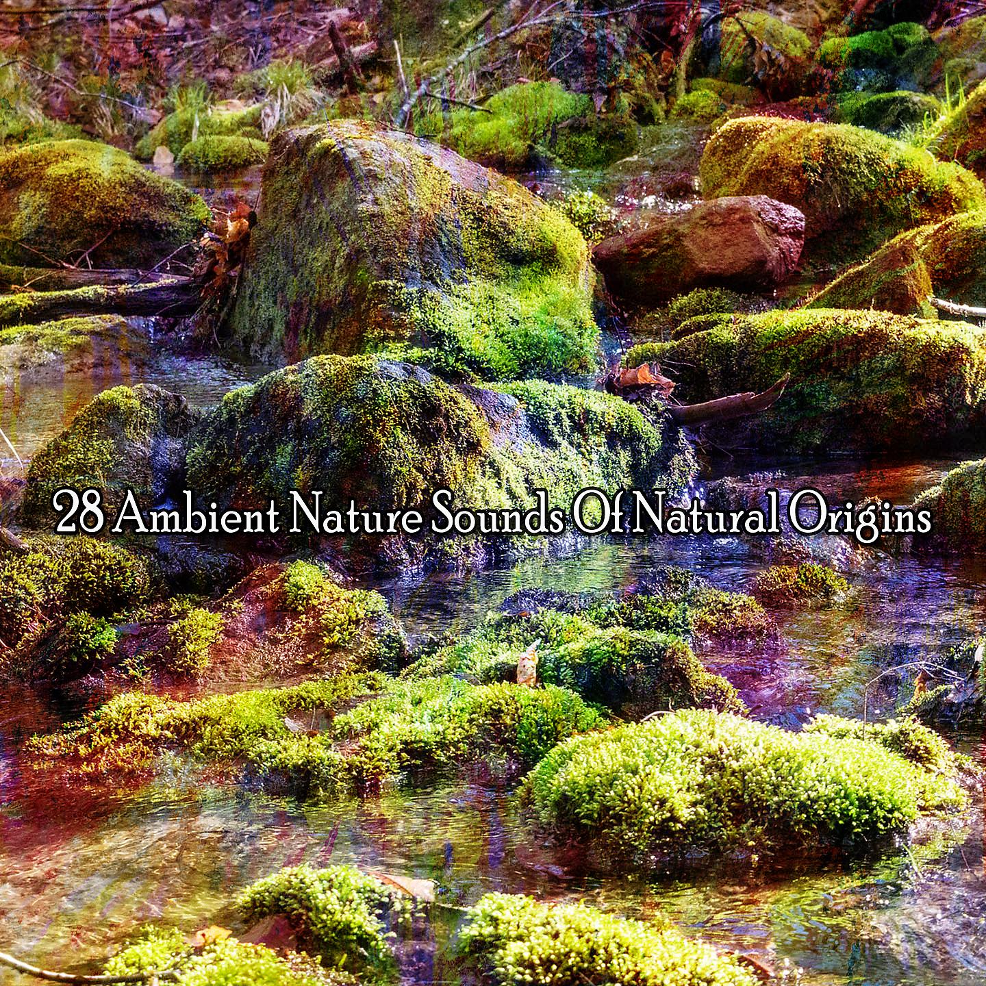 Постер альбома 28 звуков окружающей природы природного происхождения