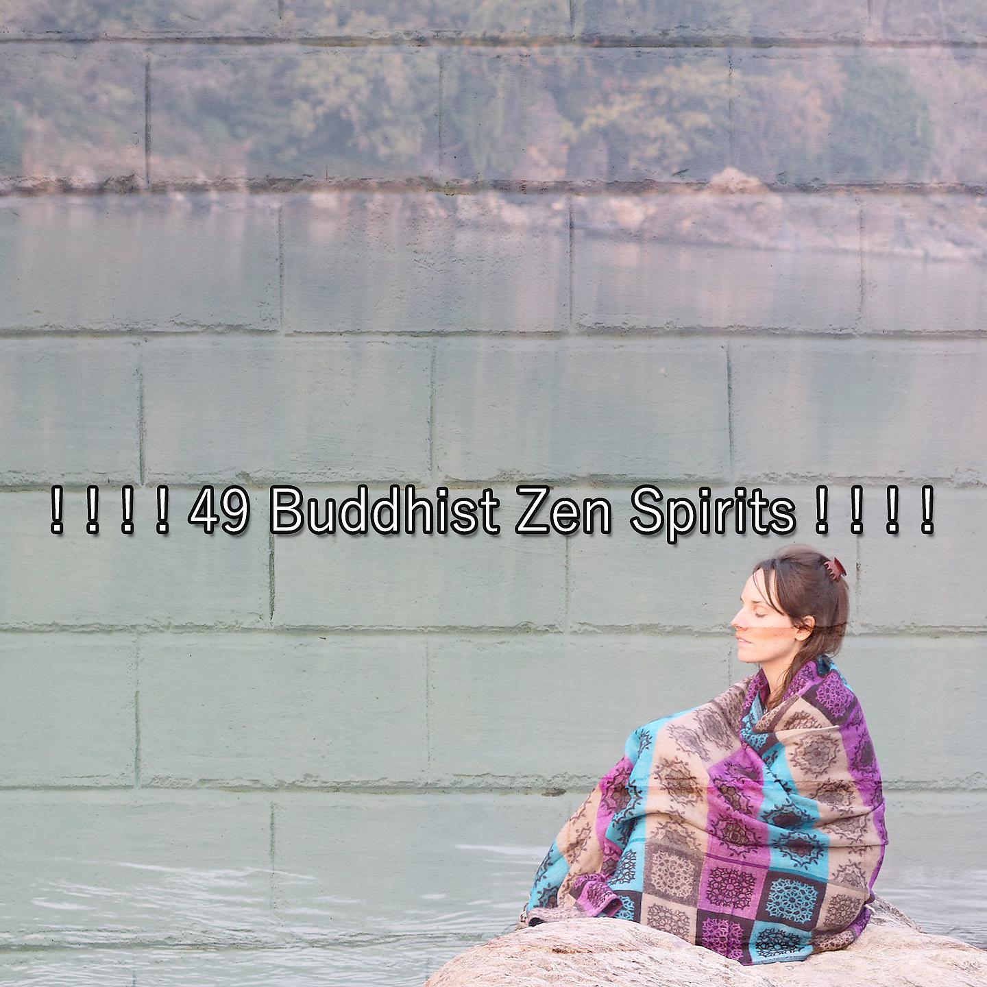 Постер альбома ! ! ! ! 49 буддийских дзен-духов! ! ! !
