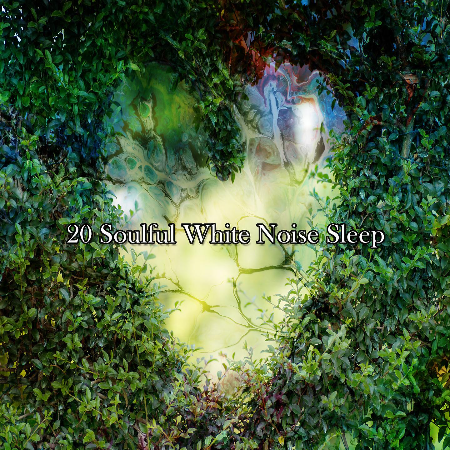 Постер альбома 20 Душевный сон с белым шумом