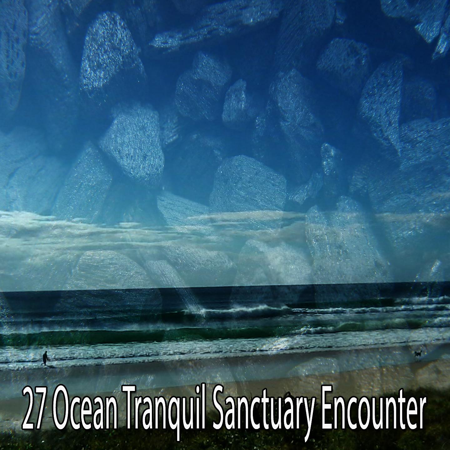 Постер альбома 27 Встреча в Тихом Океаническом Святилище
