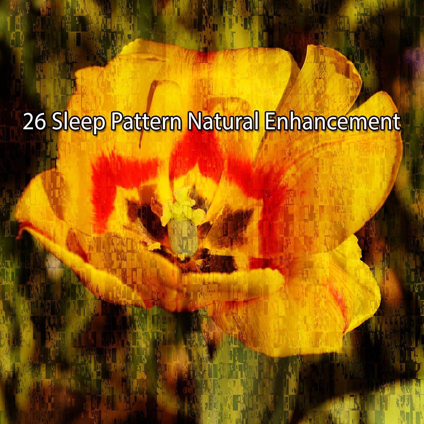Постер альбома 26 Sleep Pattern Natural Enhancement