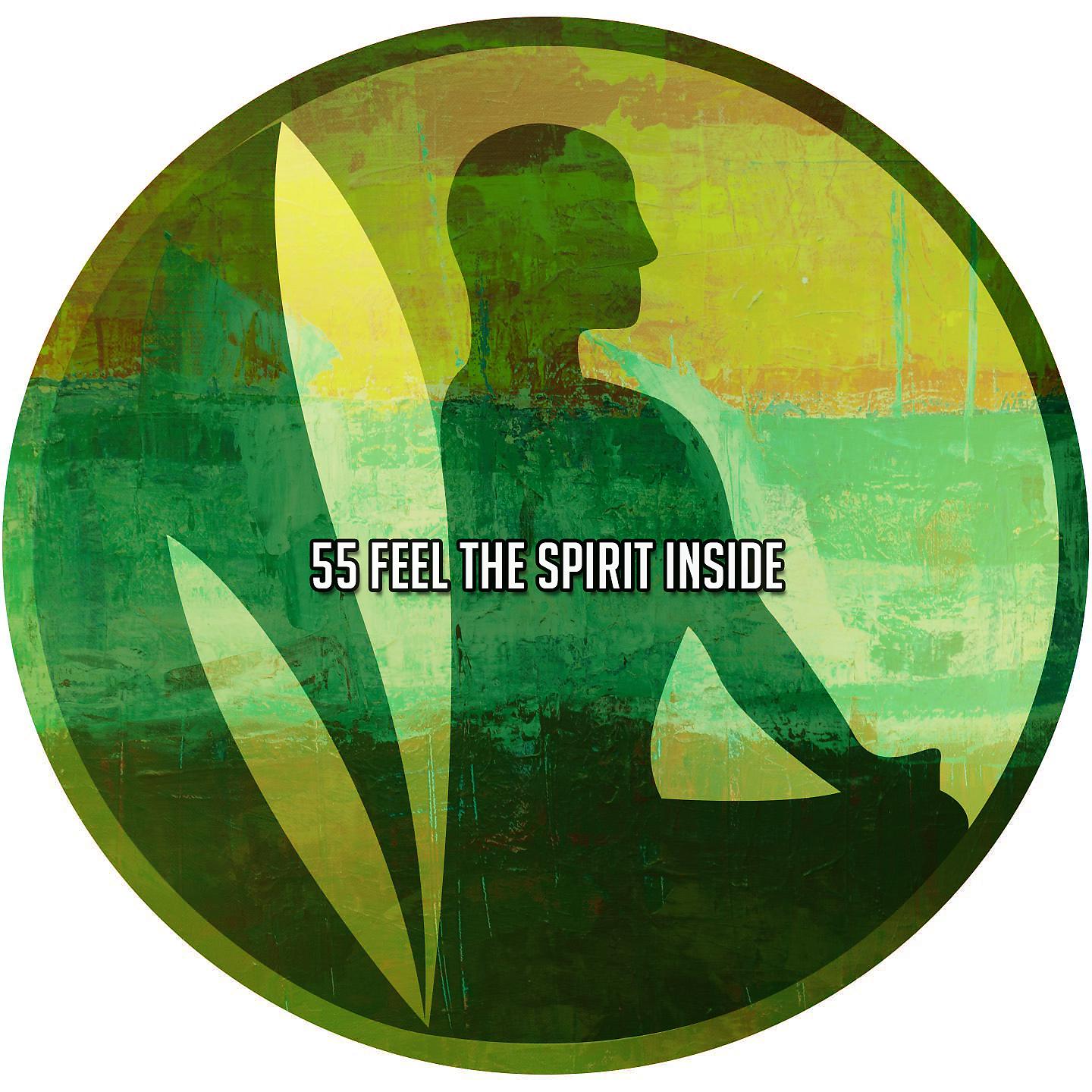 Постер альбома 55 Feel The Spirit Inside