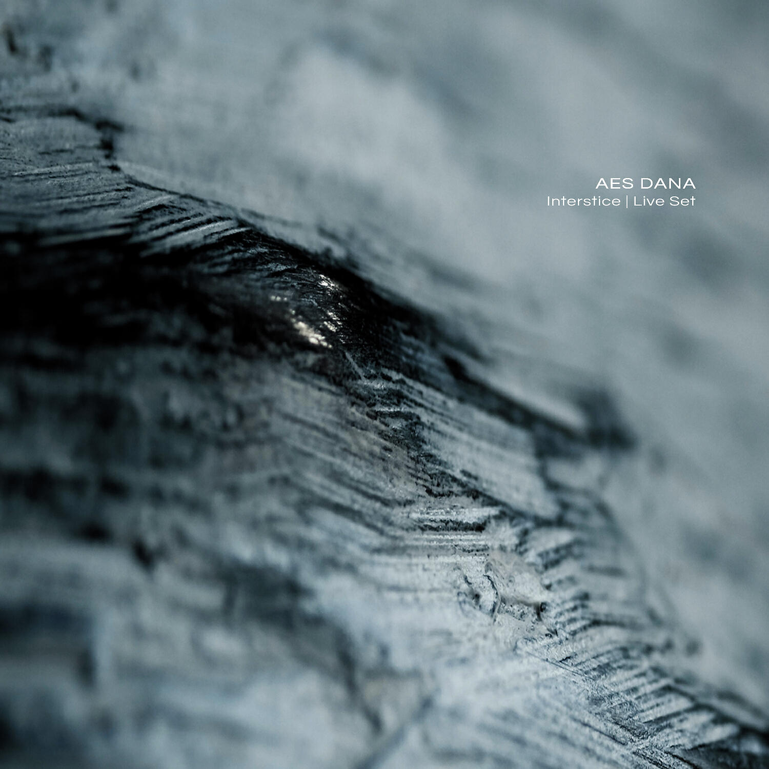 AES Dana - Low Tide Explorations (Live)