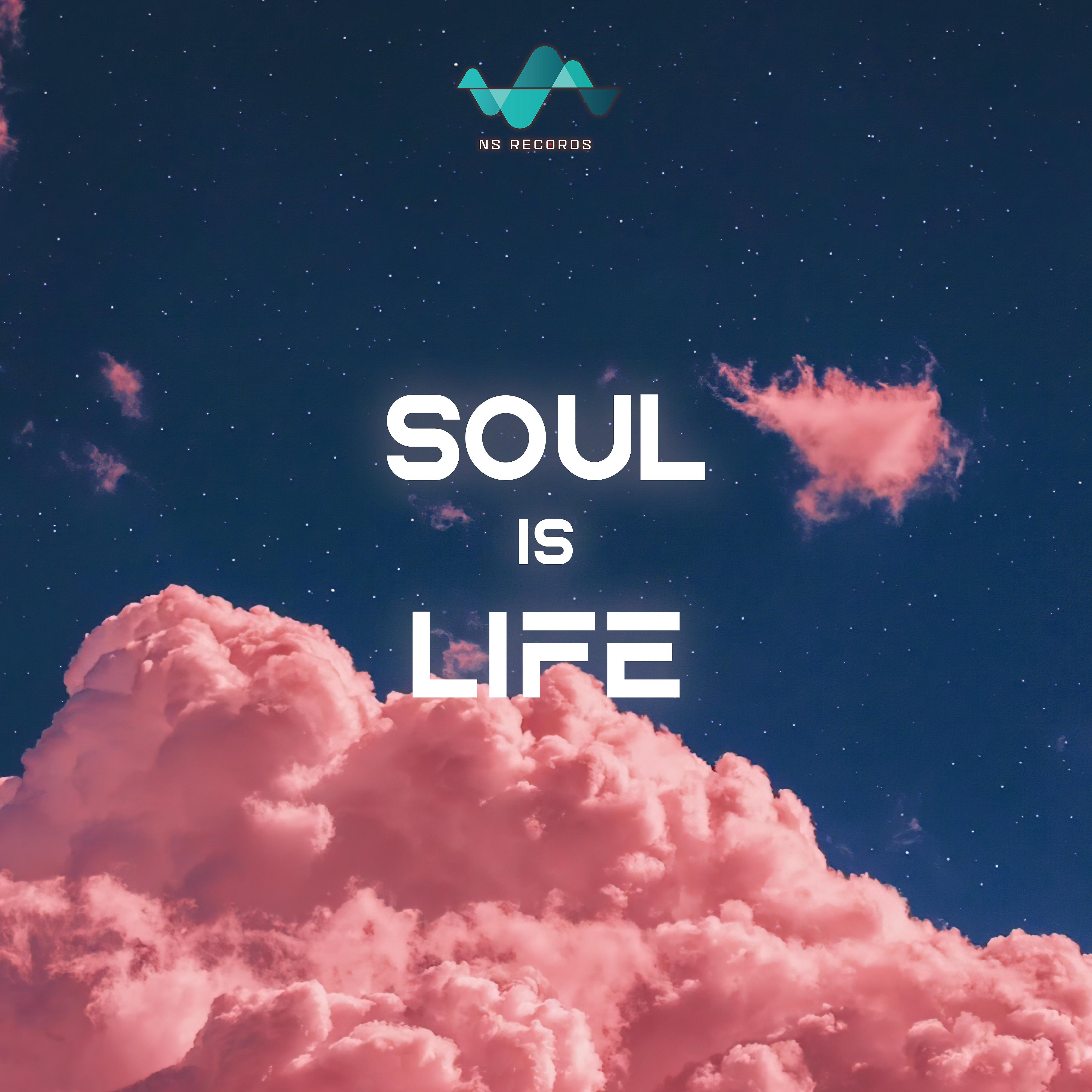 Постер альбома Soul Is Life