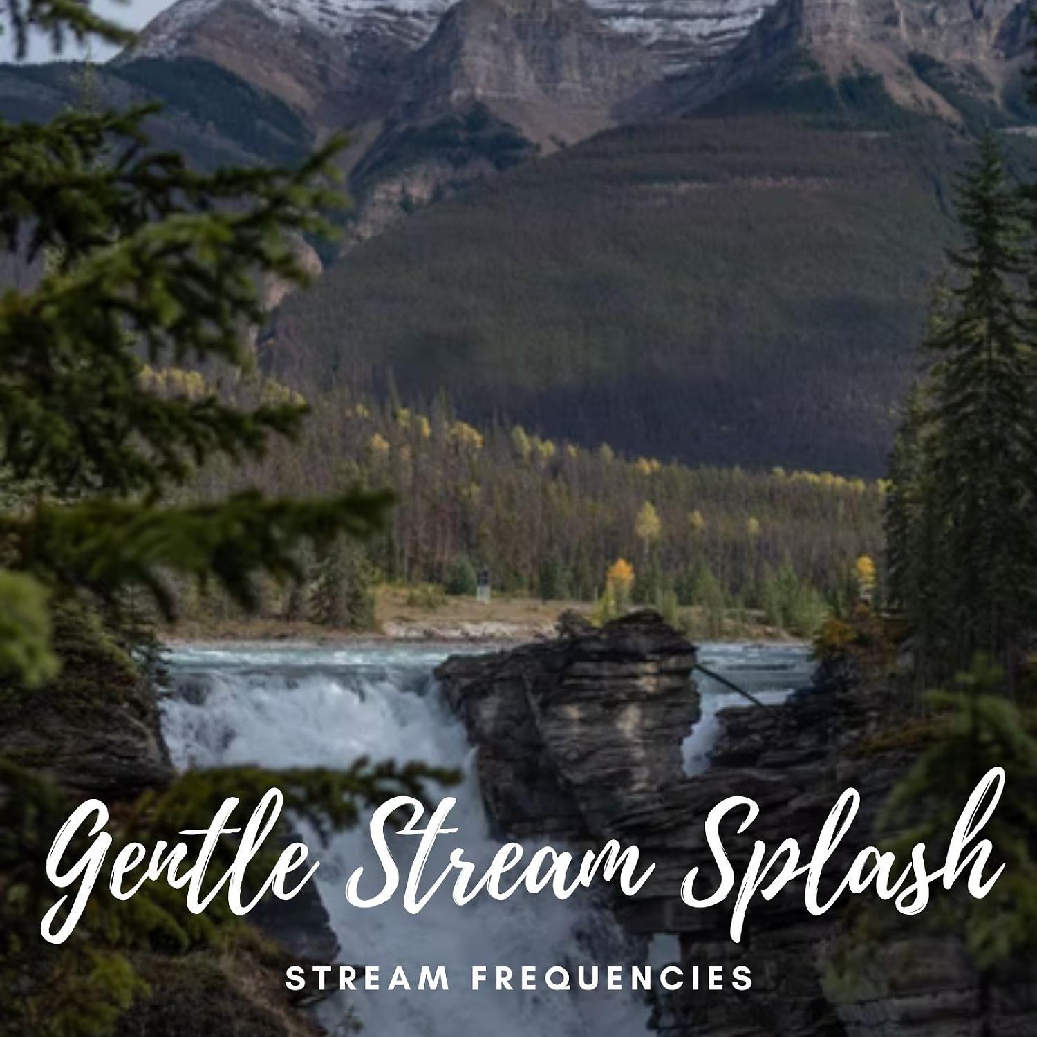 Постер альбома Stream Frequencies: Gentle Stream Splash