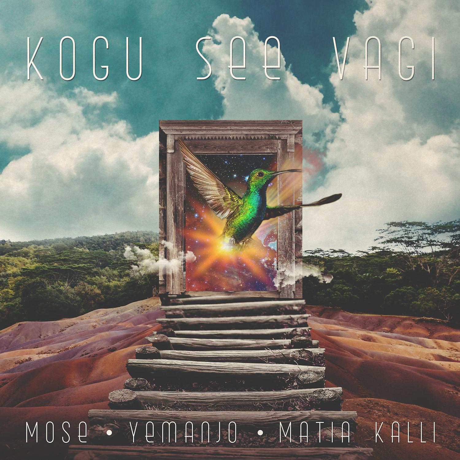 Постер альбома Kogu See Vagi
