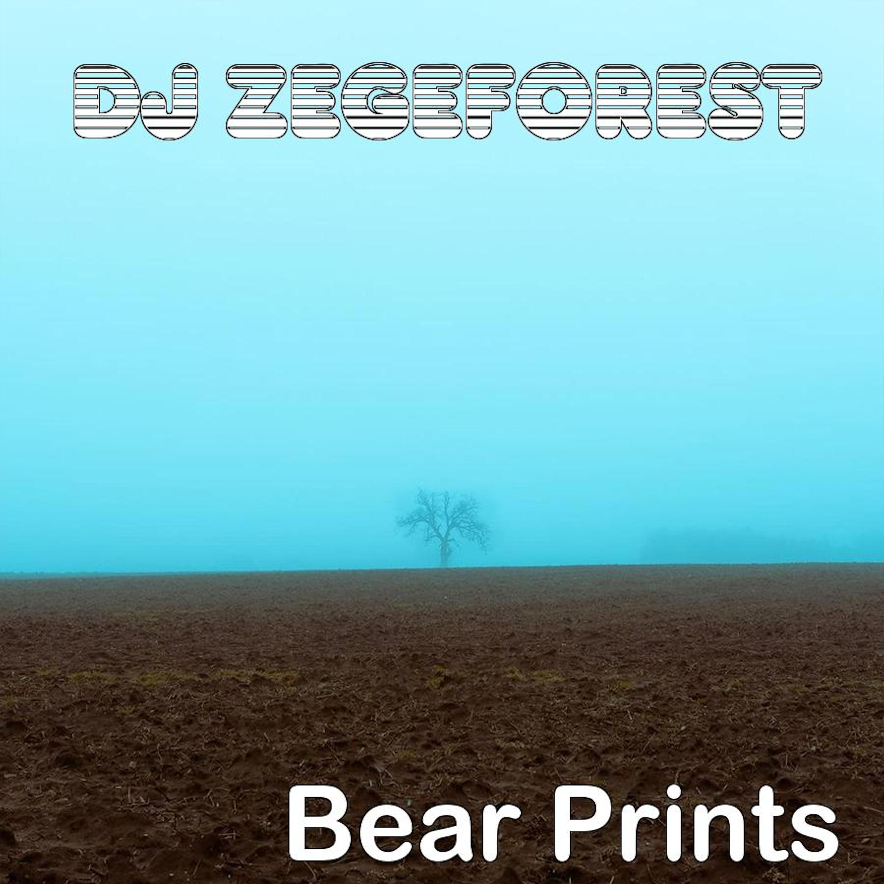 Постер альбома Bear Prints