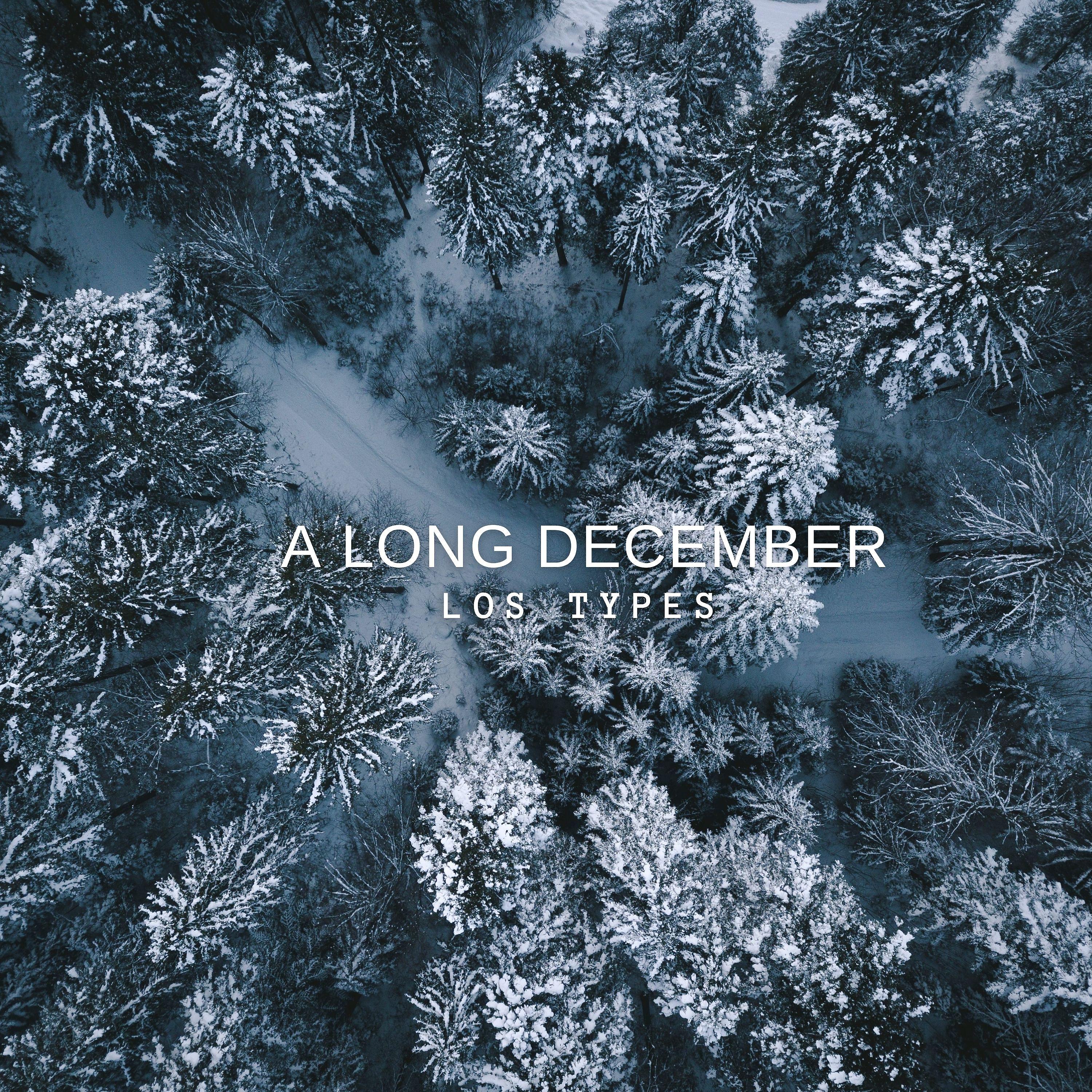 Постер альбома A Long December