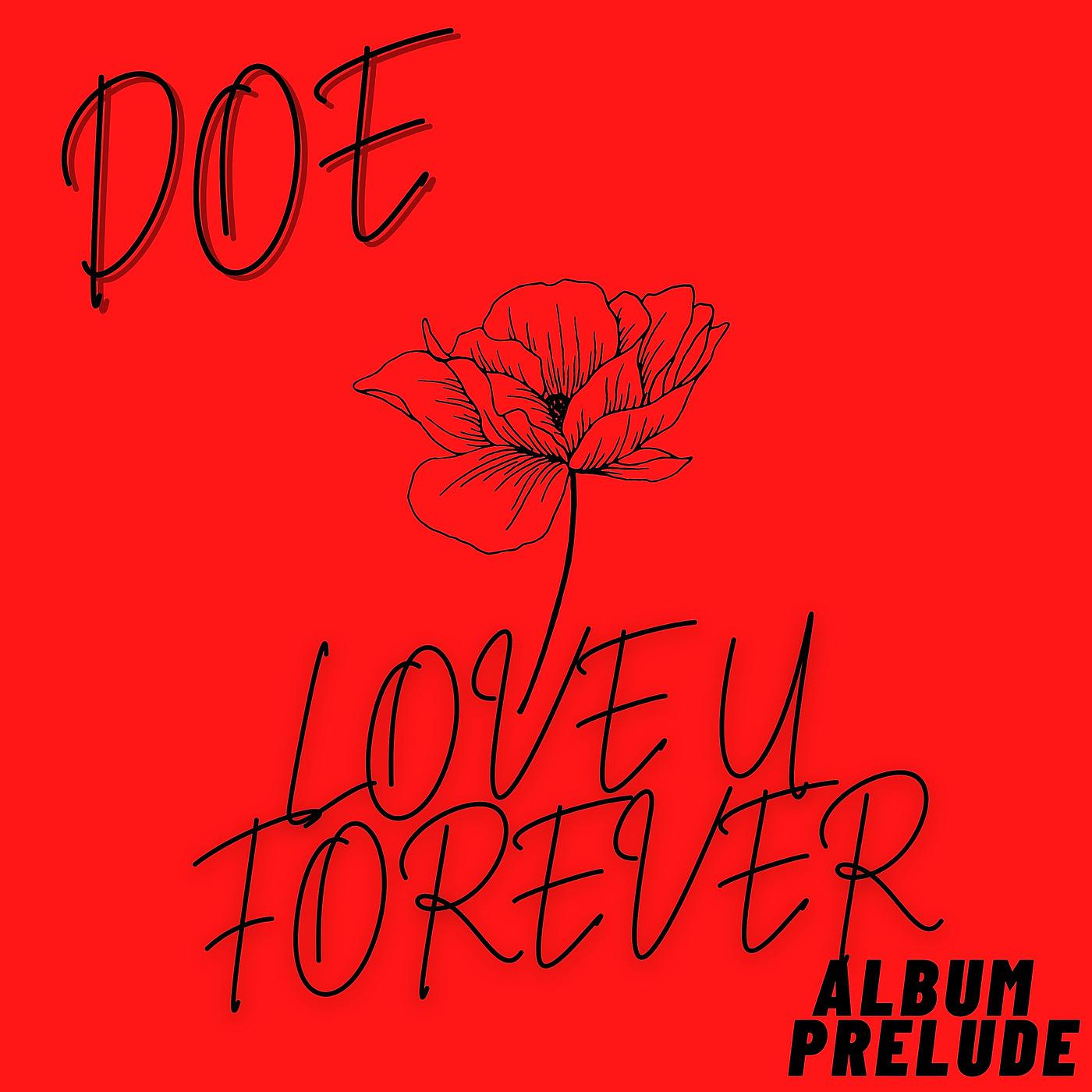 Постер альбома Love U Forever (Album Prelude)